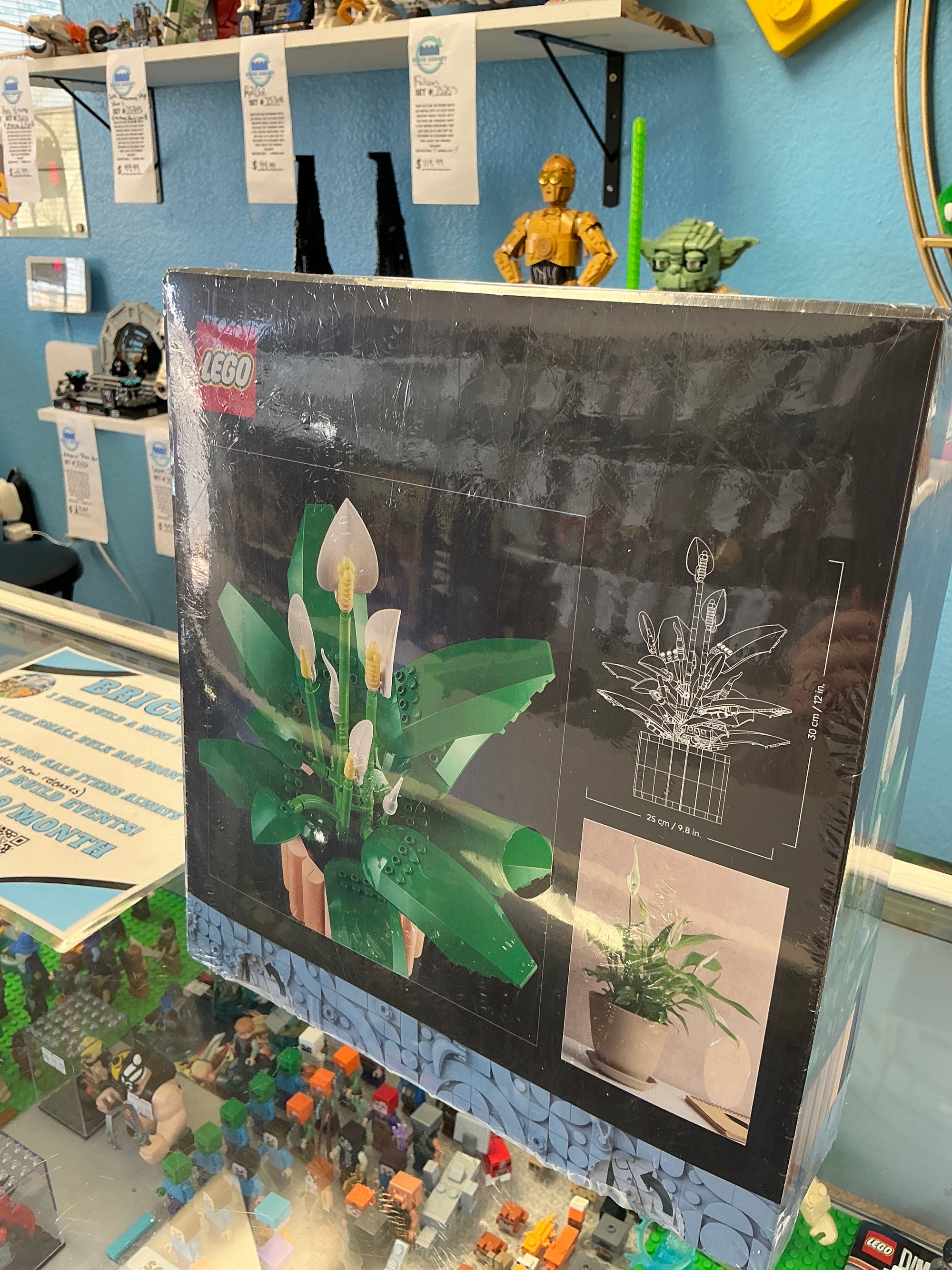 11504 Botanical Peace Lily - Certified