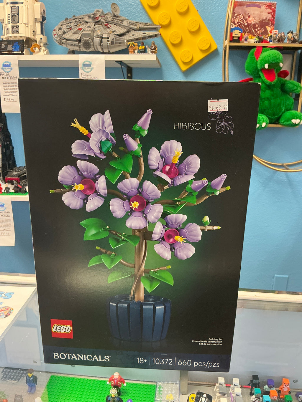 10372 Botanical Hibiscus - Sealed