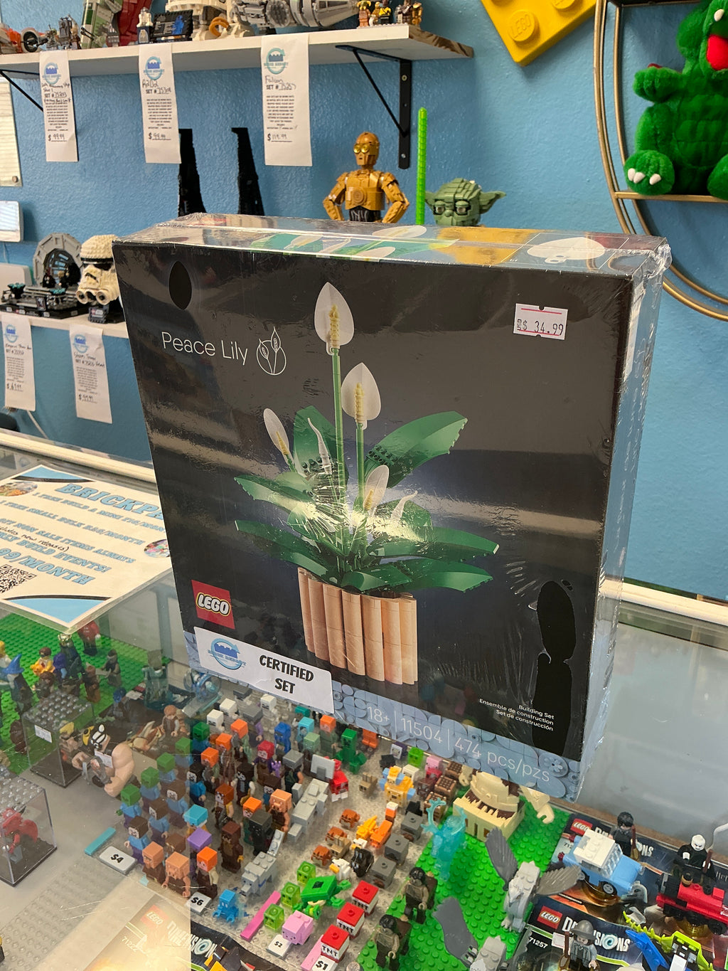 11504 Botanical Peace Lily - Certified