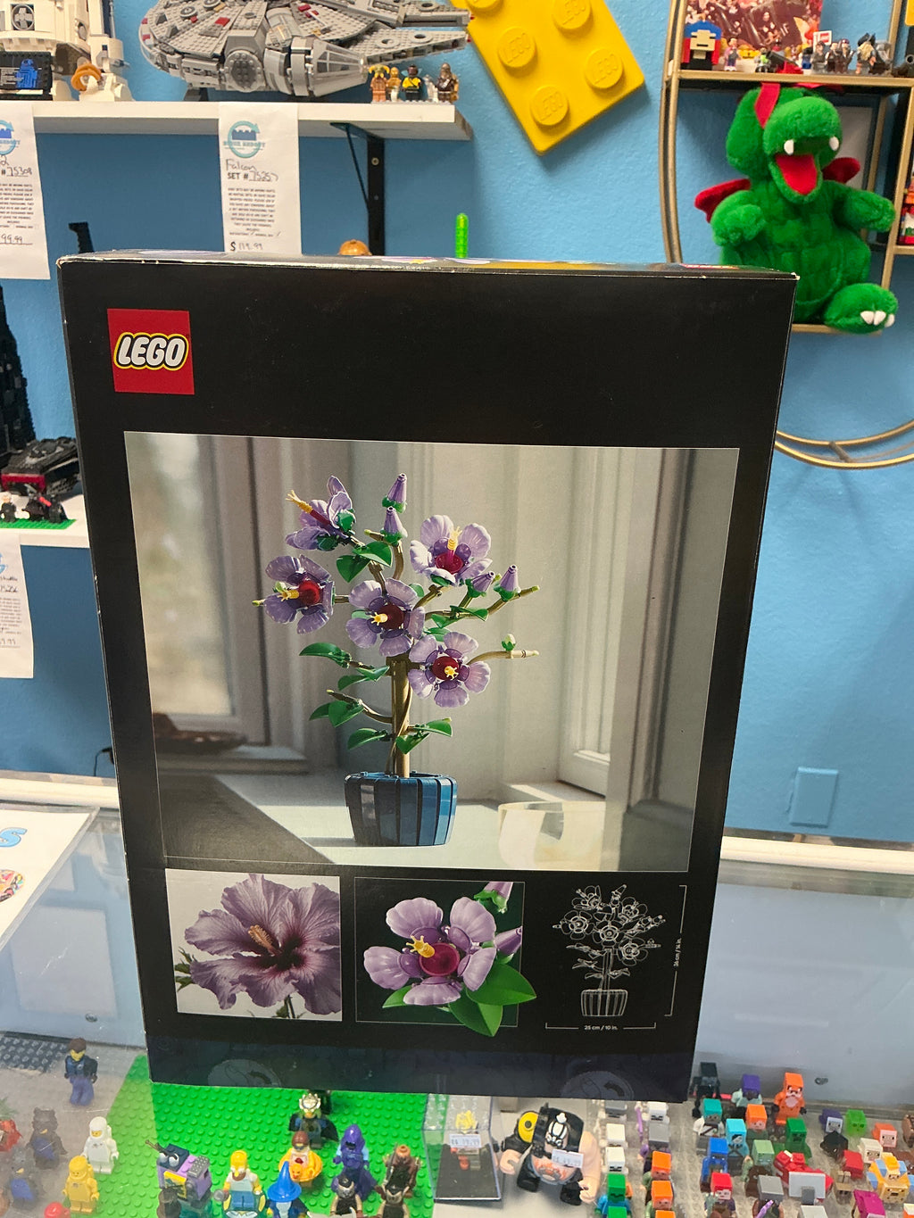 10372 Botanical Hibiscus - Sealed