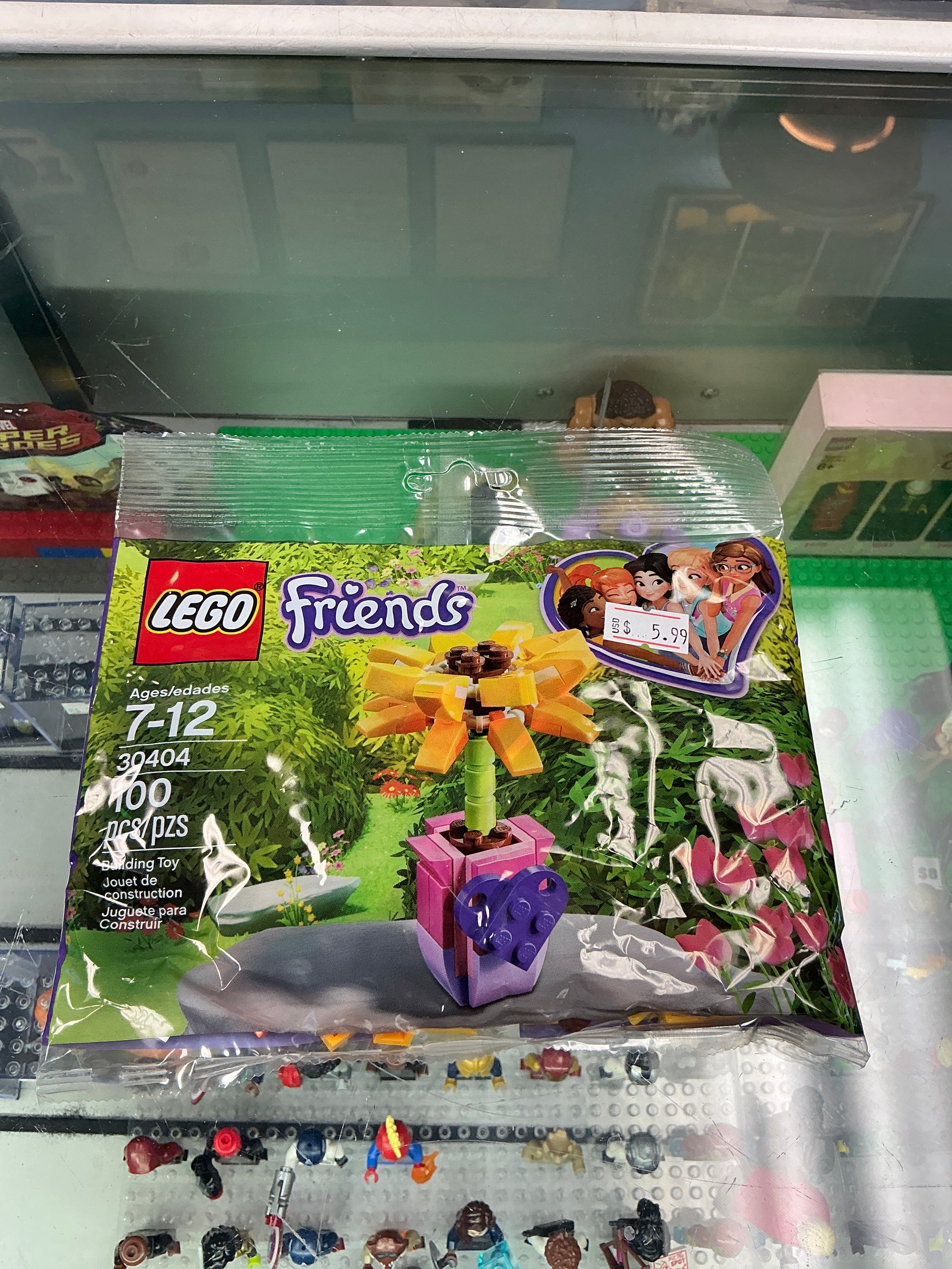 30404 Friends Polybag - Sealed