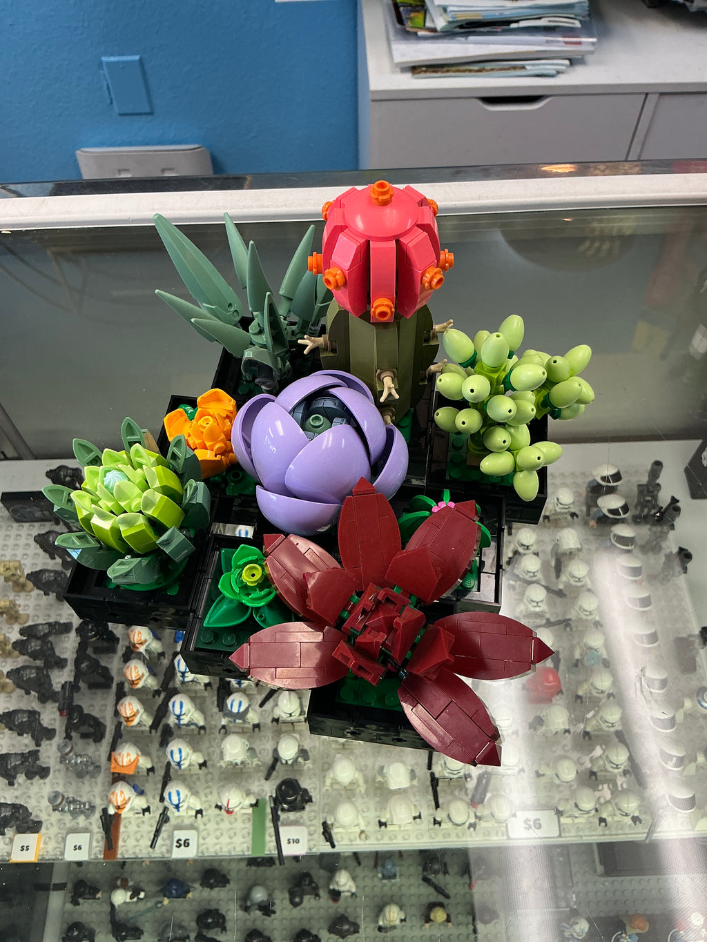 10309 Botanical Succulents - Used