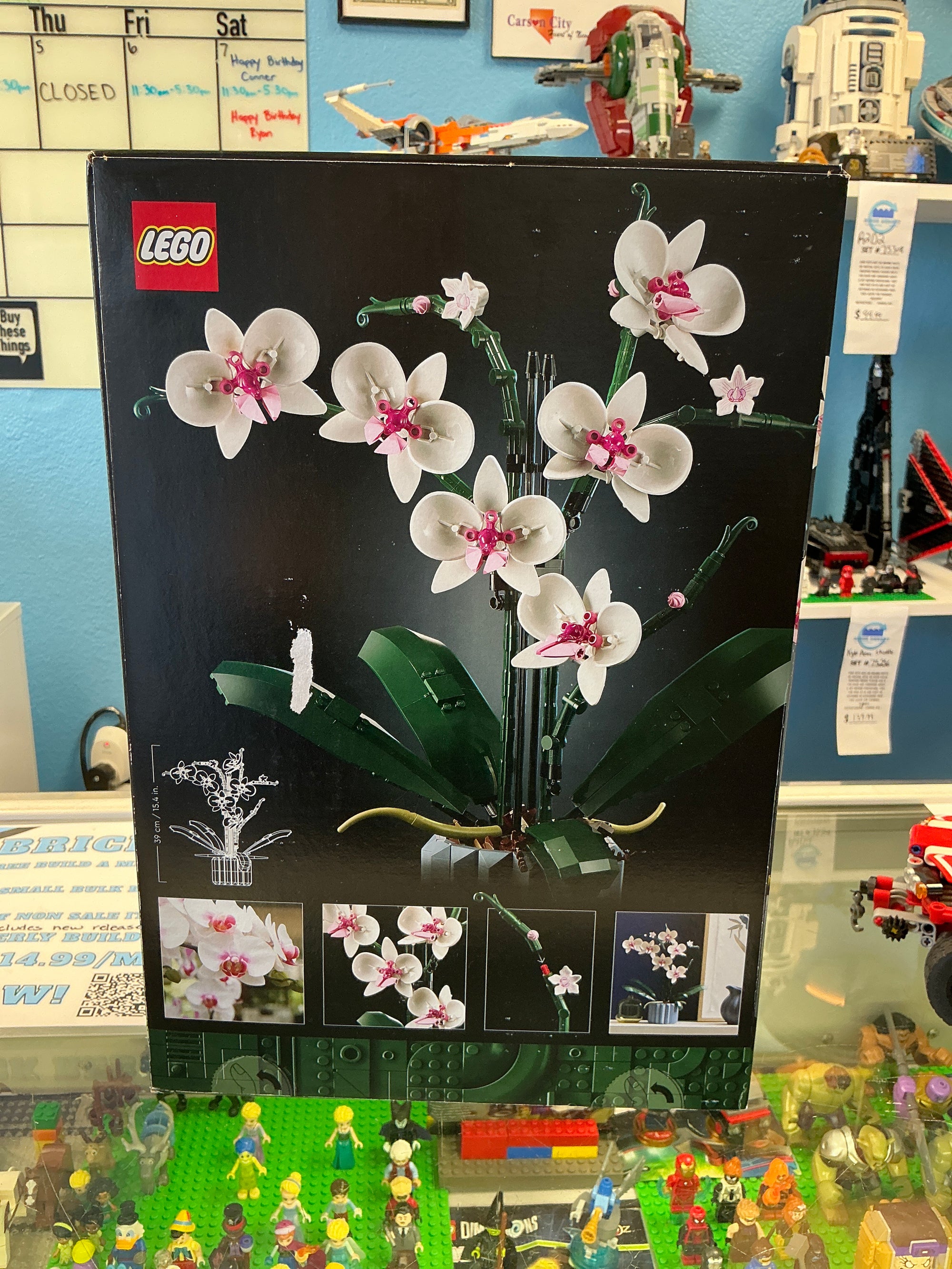 10311 Botanical Orchid - Sealed