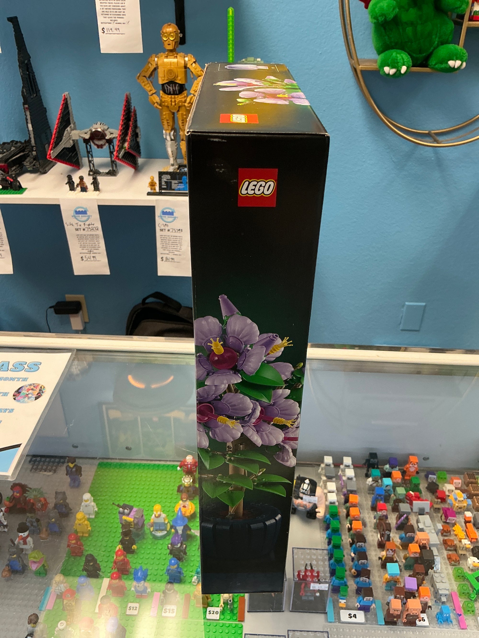 10372 Botanical Hibiscus - Sealed