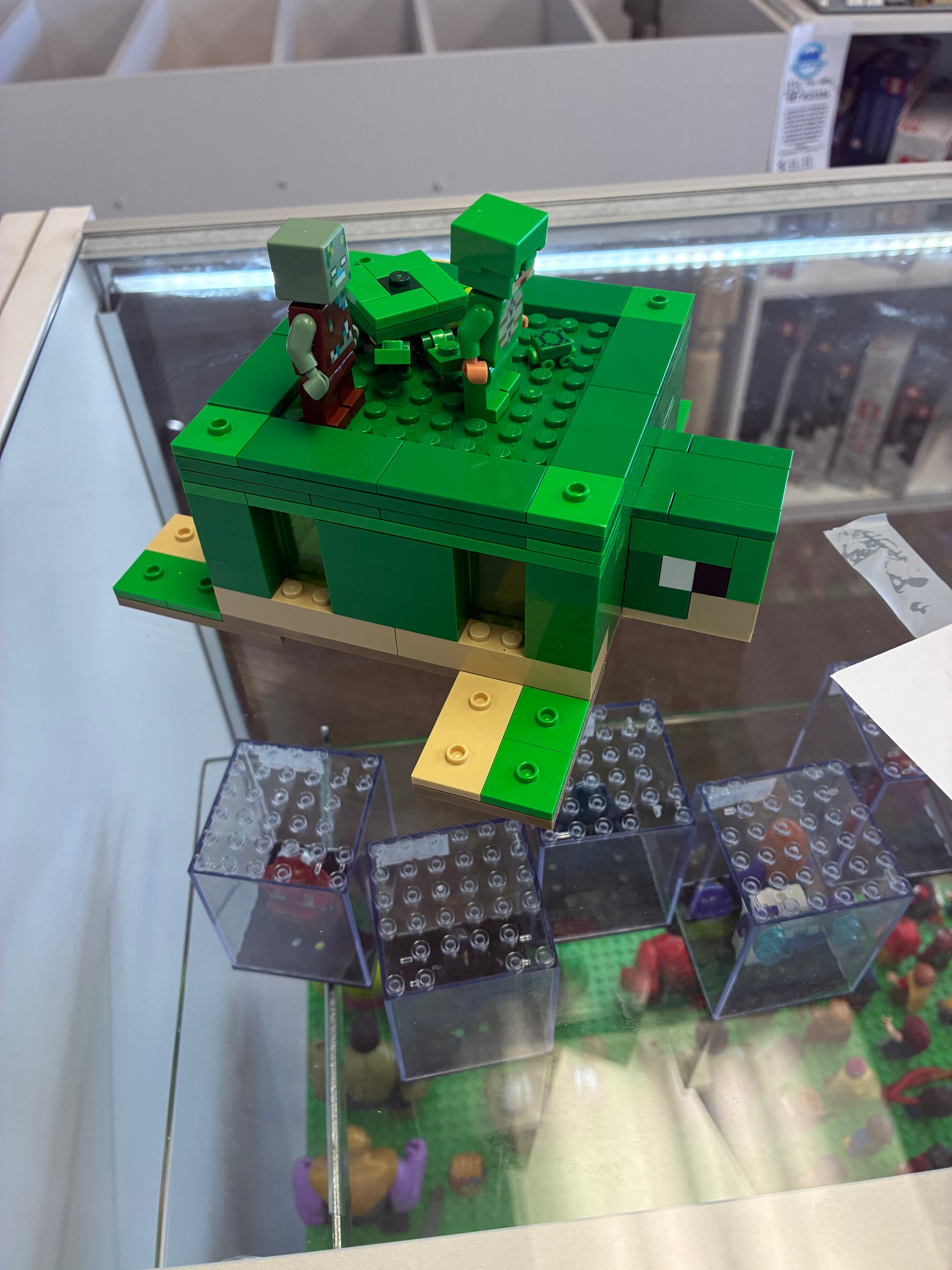 21254 The Turtle Beacon House - Used