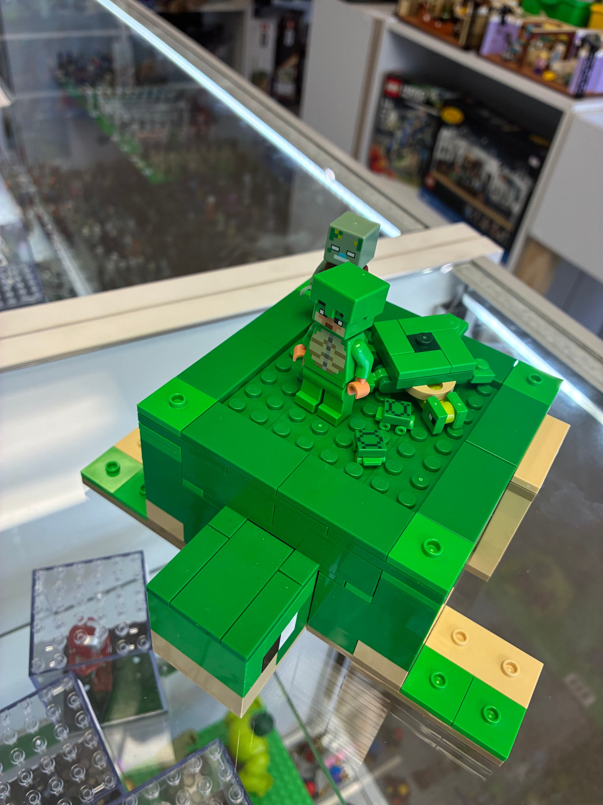 21254 The Turtle Beacon House - Used