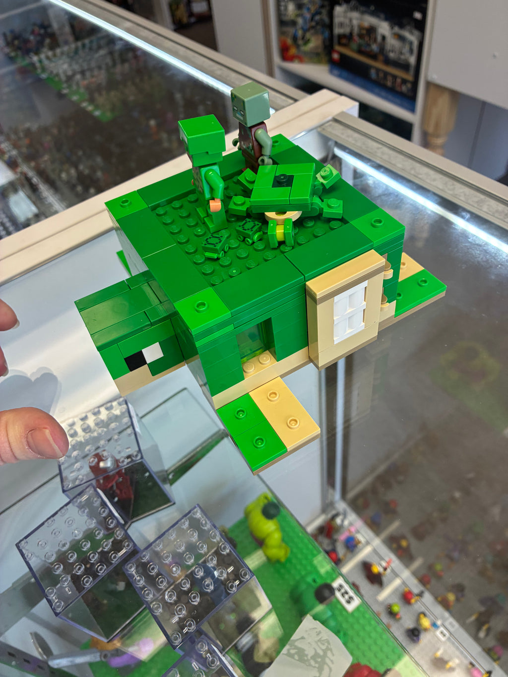 21254 The Turtle Beacon House - Used