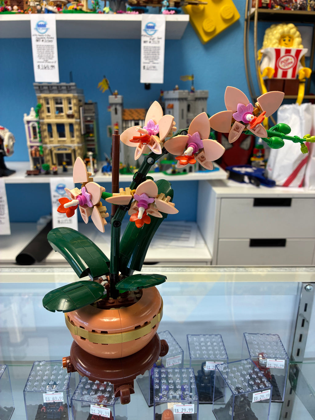 10343 Botanical Mini Orchid - Used