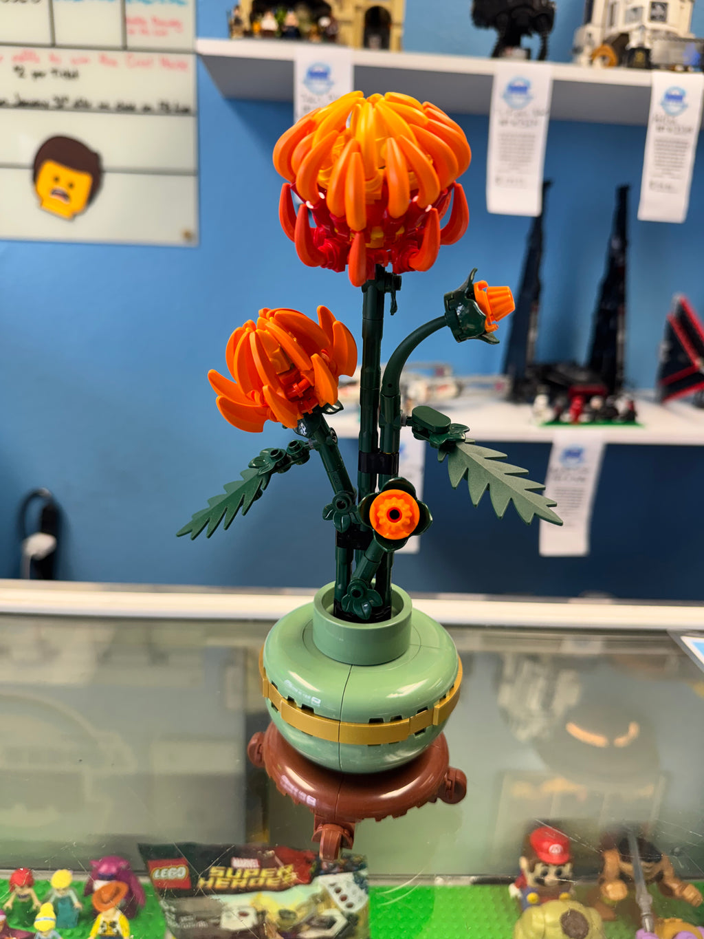 10368 Botanicals Chrysanthemum - Used