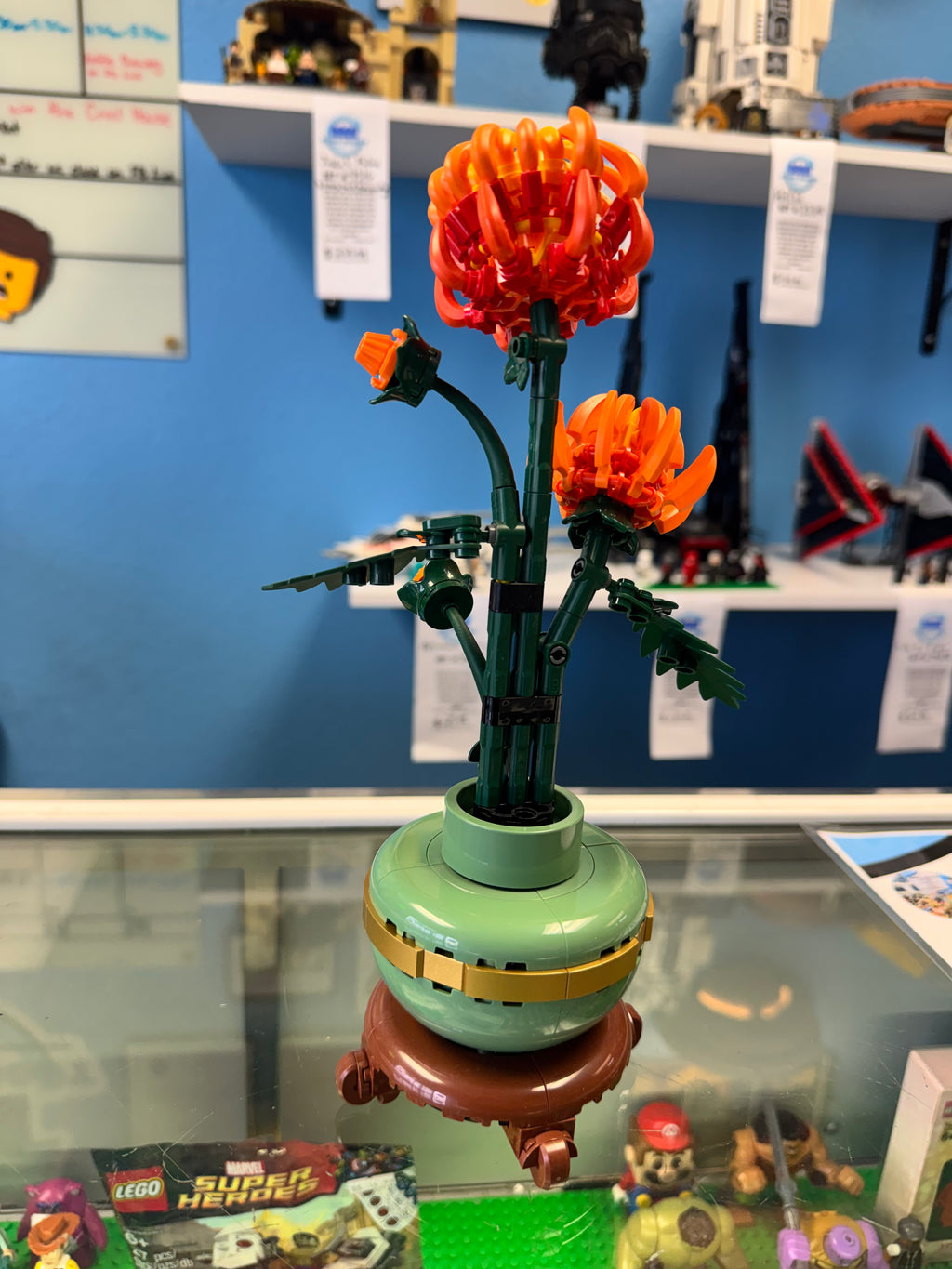 10368 Botanicals Chrysanthemum - Used