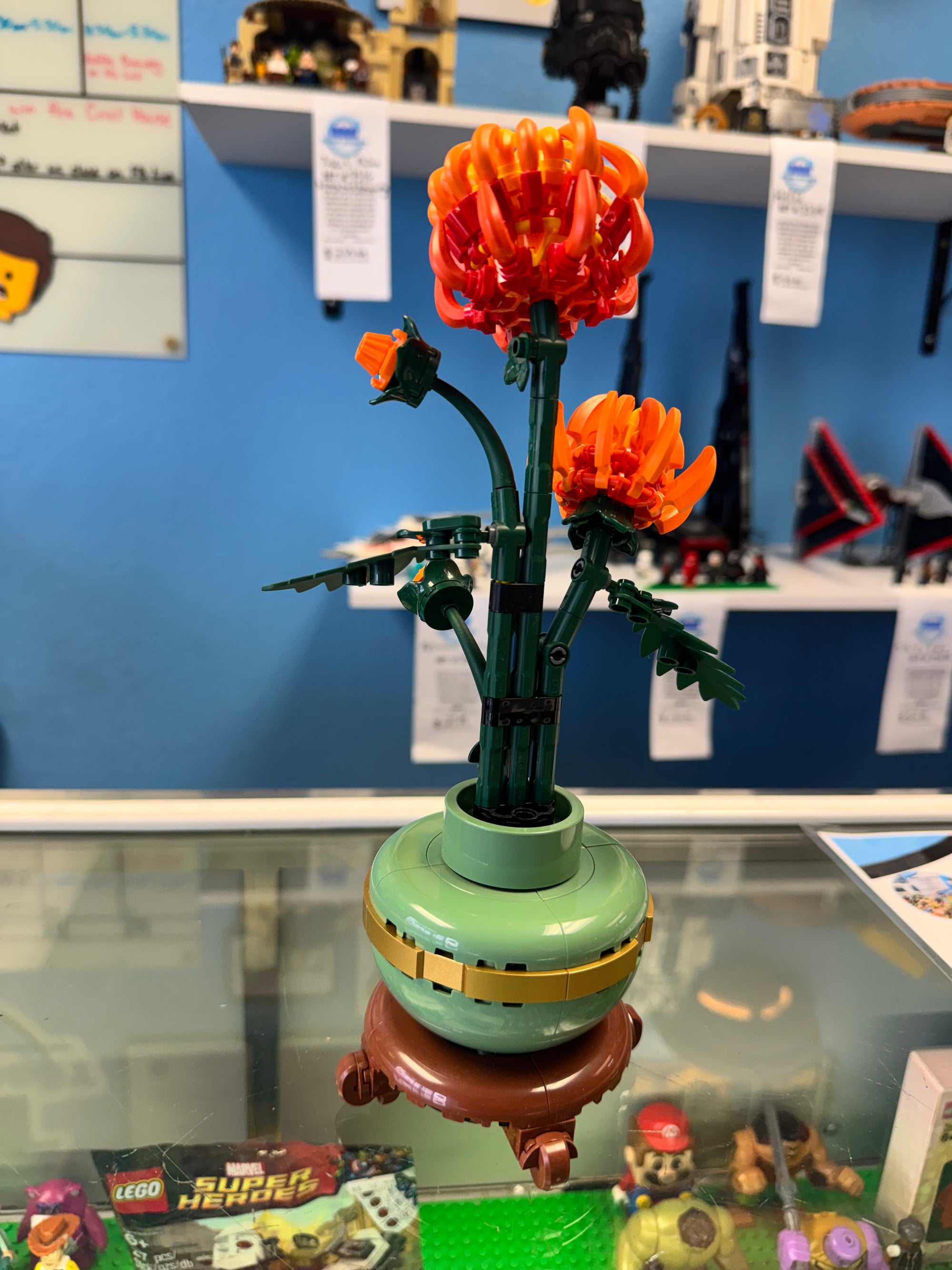 10368 Botanicals Chrysanthemum - Used