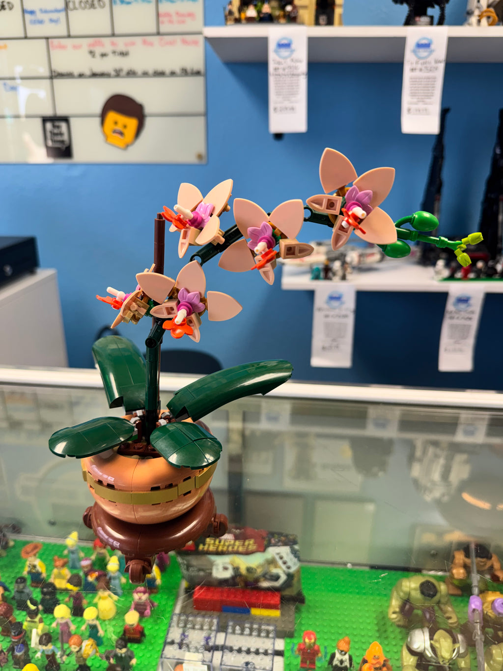 10343 Botanicals Mini Orchid - Used