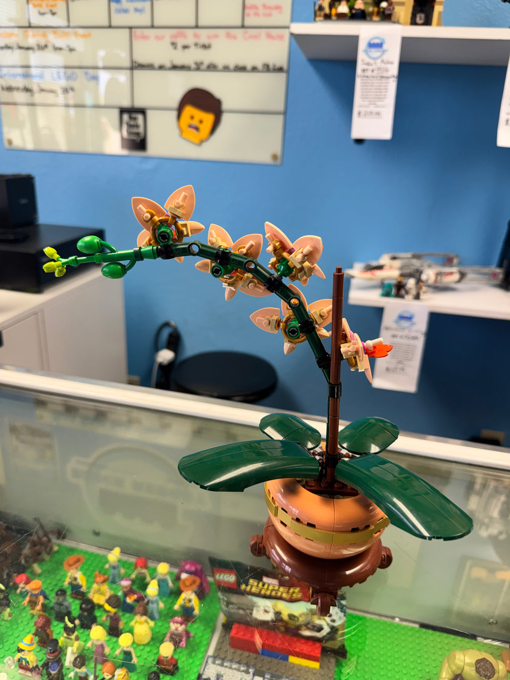 10343 Botanicals Mini Orchid - Used