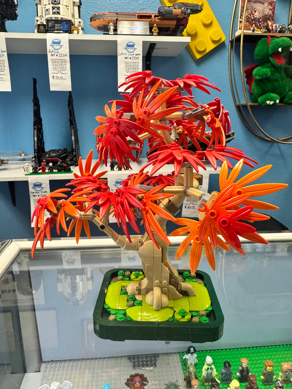 10348 Botanicals Japanese Red Maple Bonsai Tree - Used