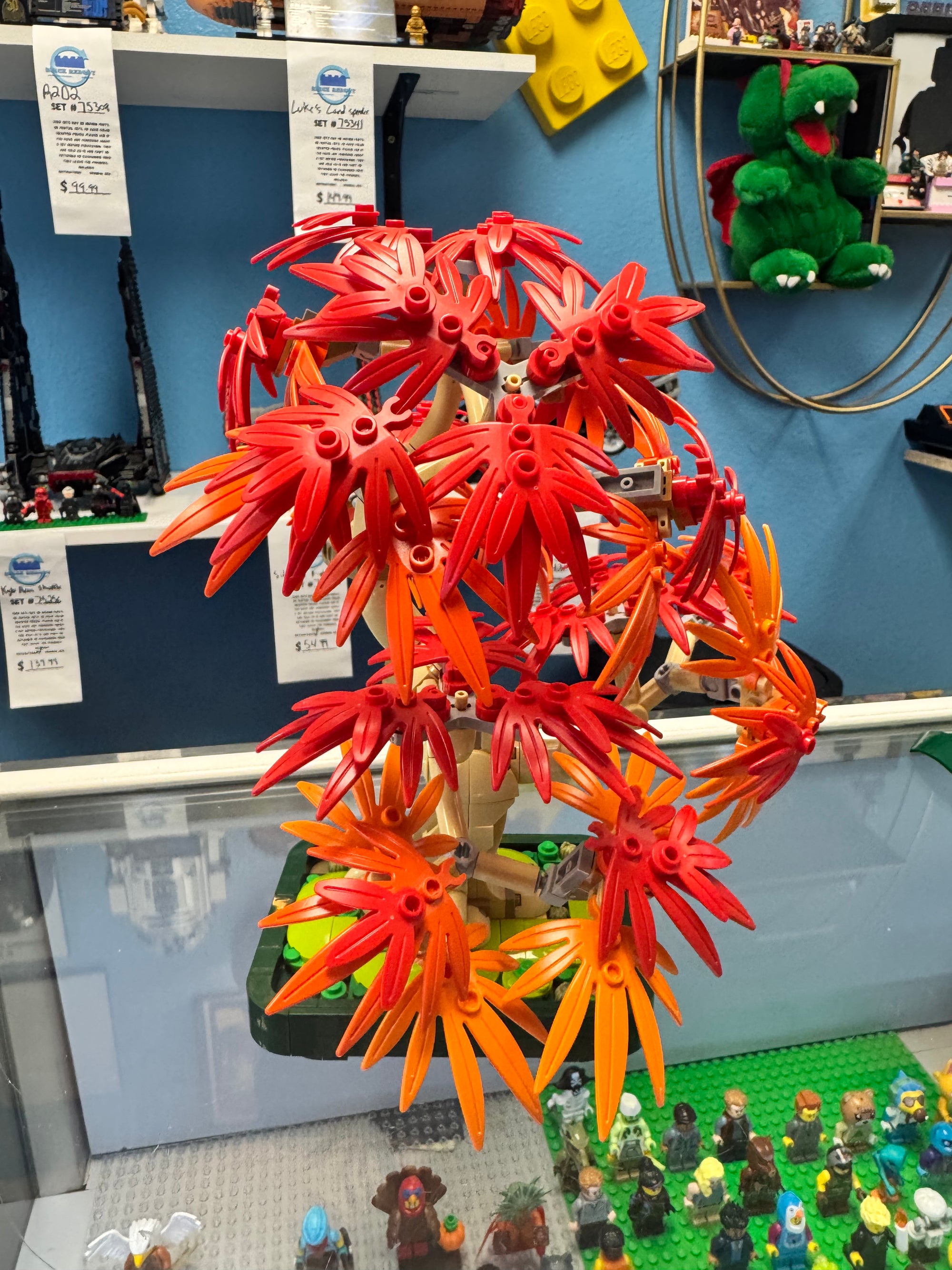 10348 Botanicals Japanese Red Maple Bonsai Tree - Used