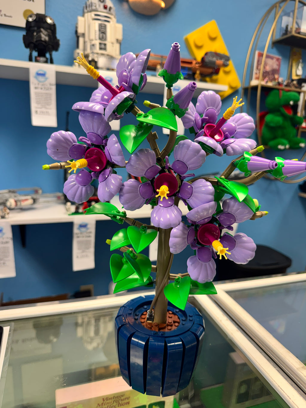 10372 Botanical’s Hibiscus - Used