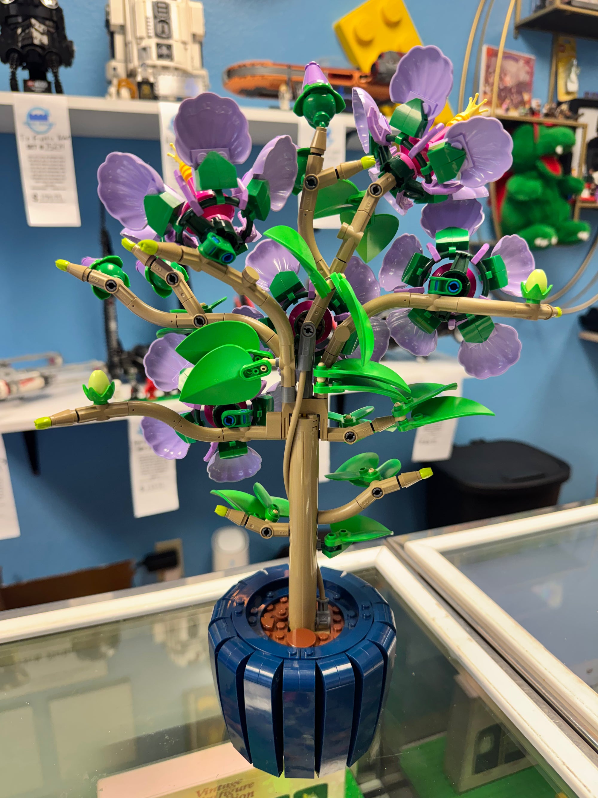 10372 Botanical’s Hibiscus - Used