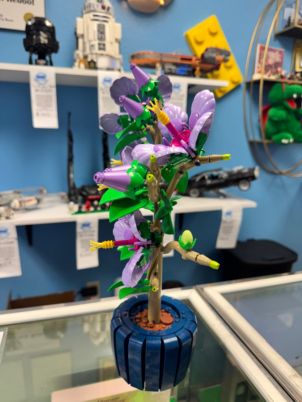 10372 Botanical’s Hibiscus - Used