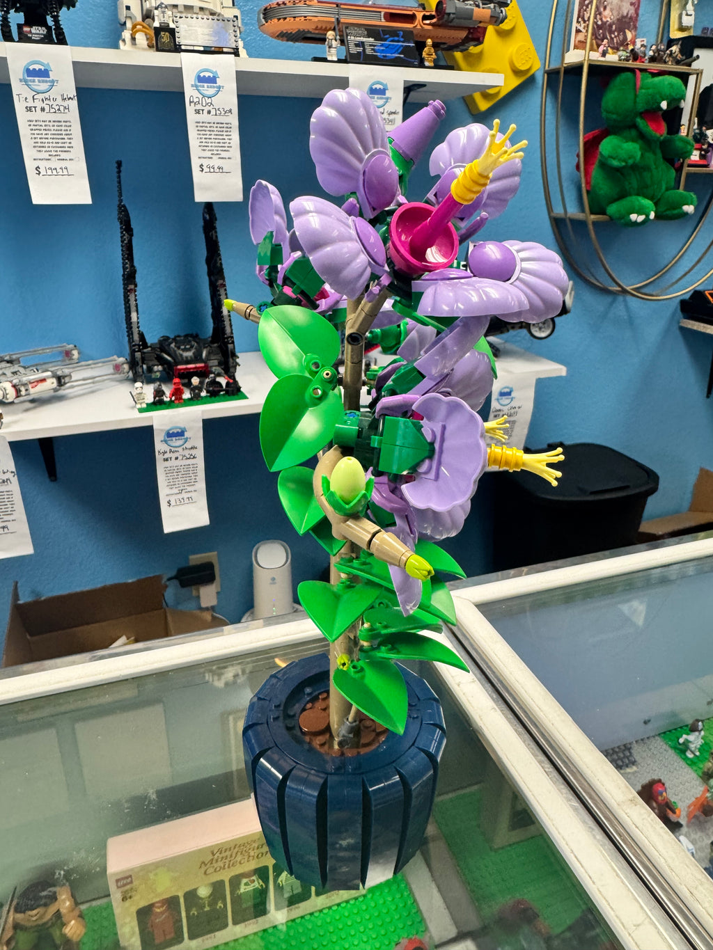 10372 Botanical’s Hibiscus - Used