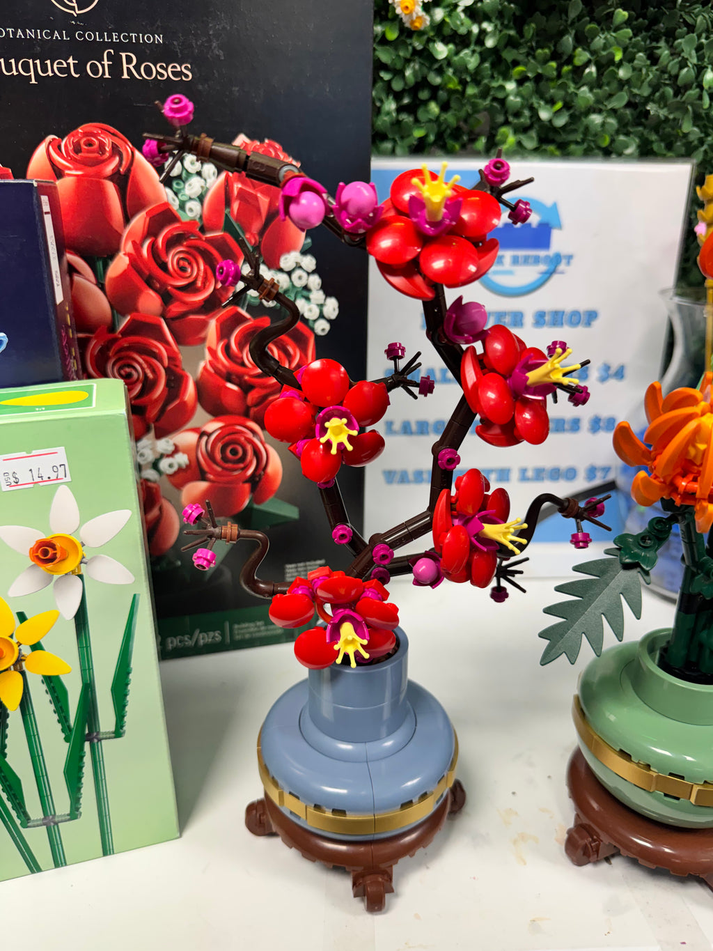 10369 Botanicals Plum Blossom - Used