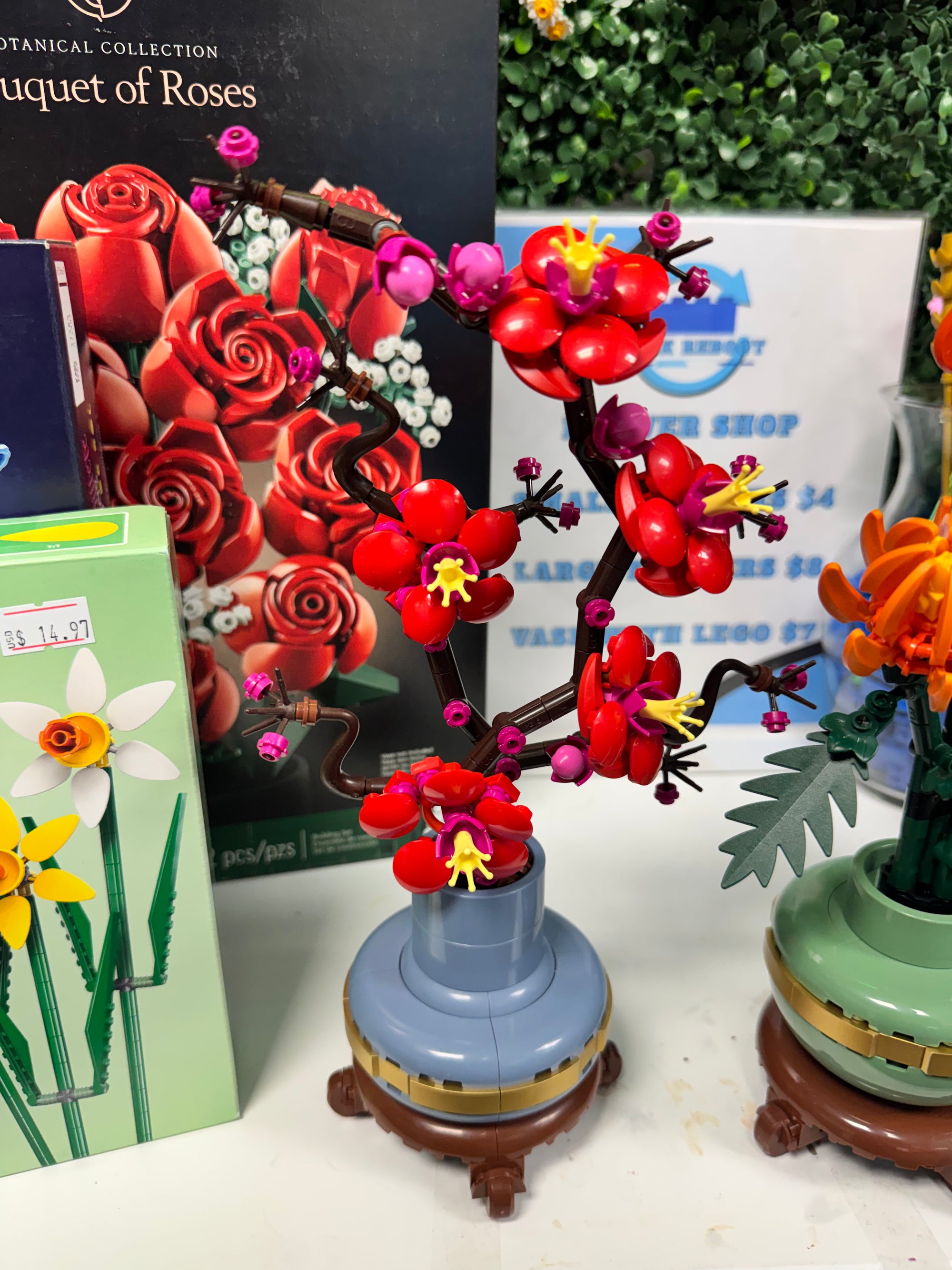 10369 Botanicals Plum Blossom - Used