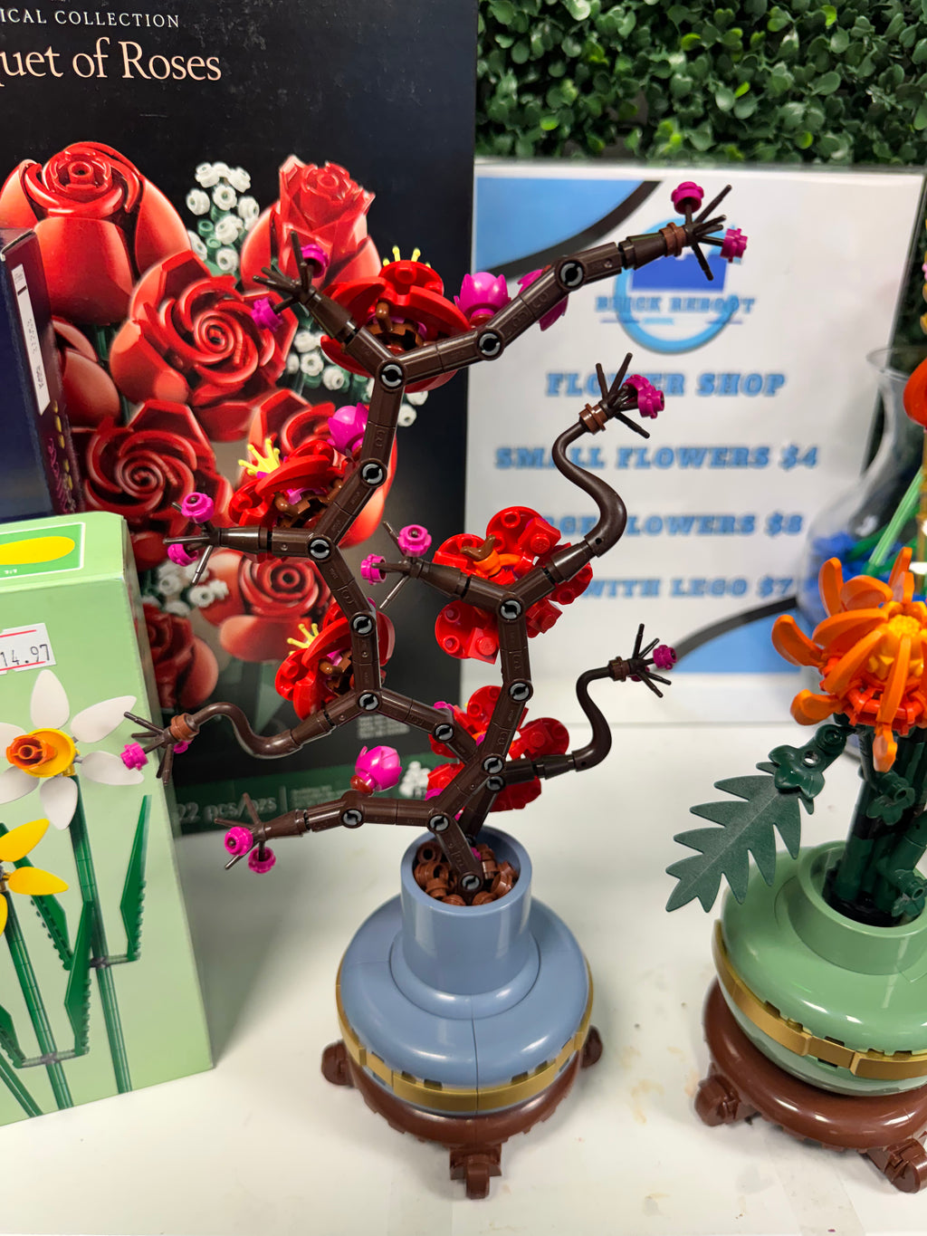 10369 Botanicals Plum Blossom - Used