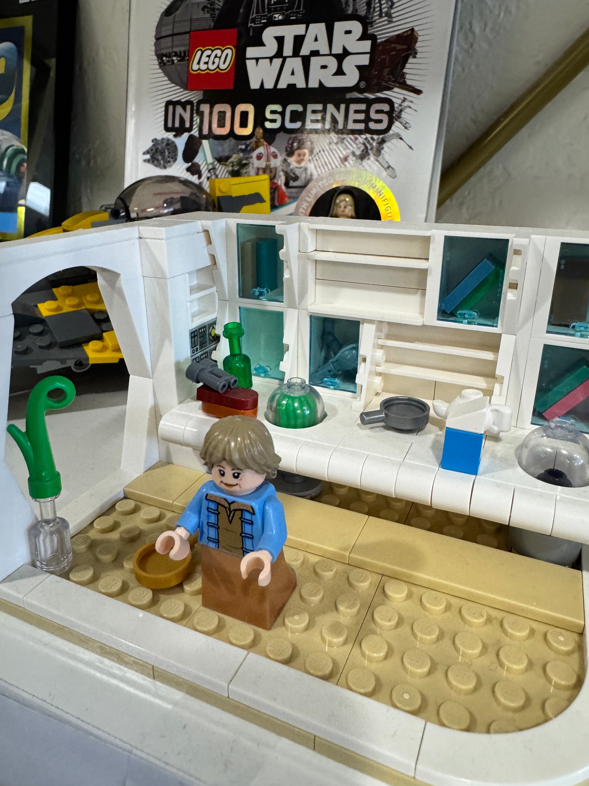 40531 Lars Family Homestead - Used