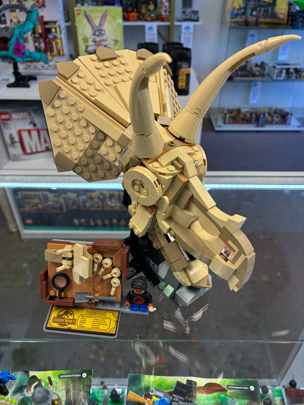 76969 Dinosaur Fossils: Triceratops - Used
