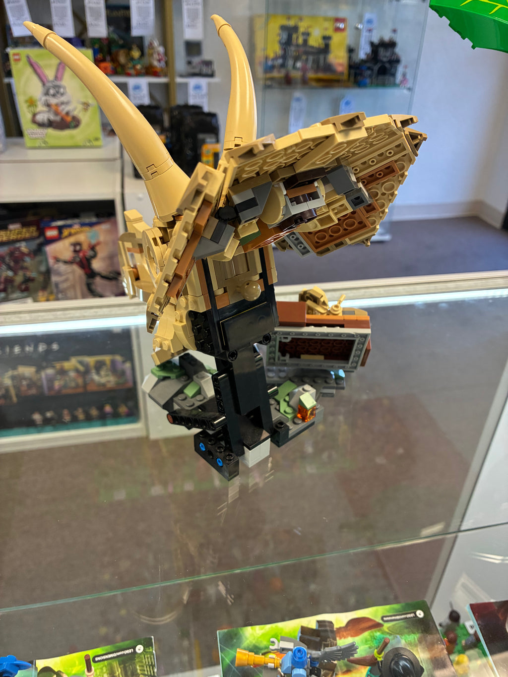 76969 Dinosaur Fossils: Triceratops - Used