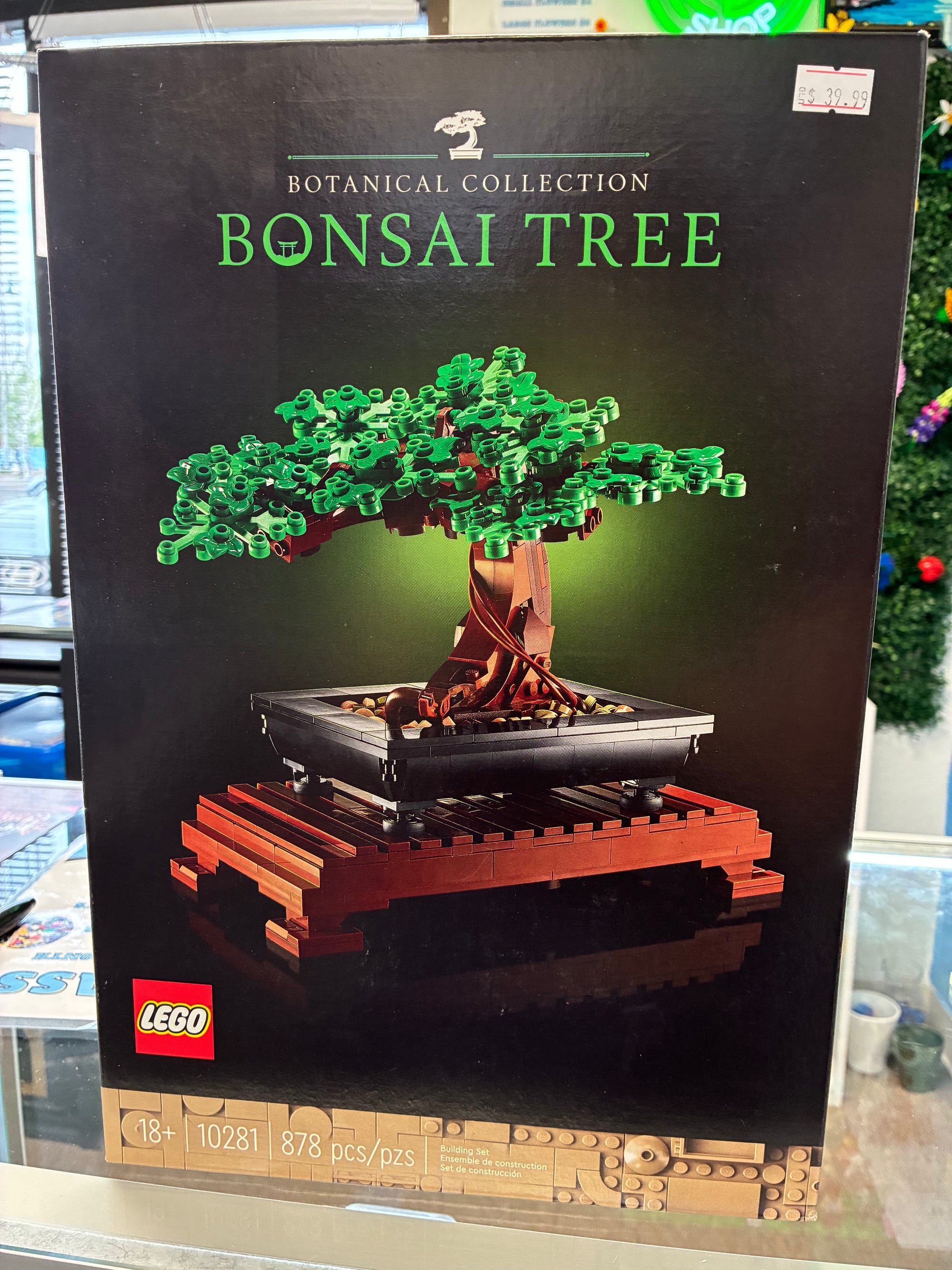 Bonsai Tree 10281 - Sealed