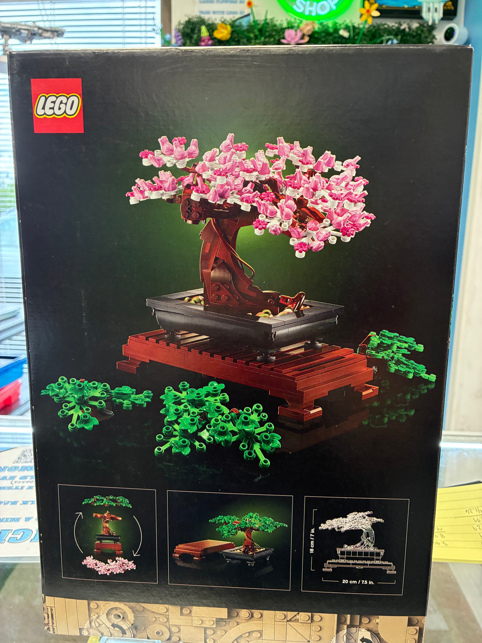 Bonsai Tree 10281 - Sealed