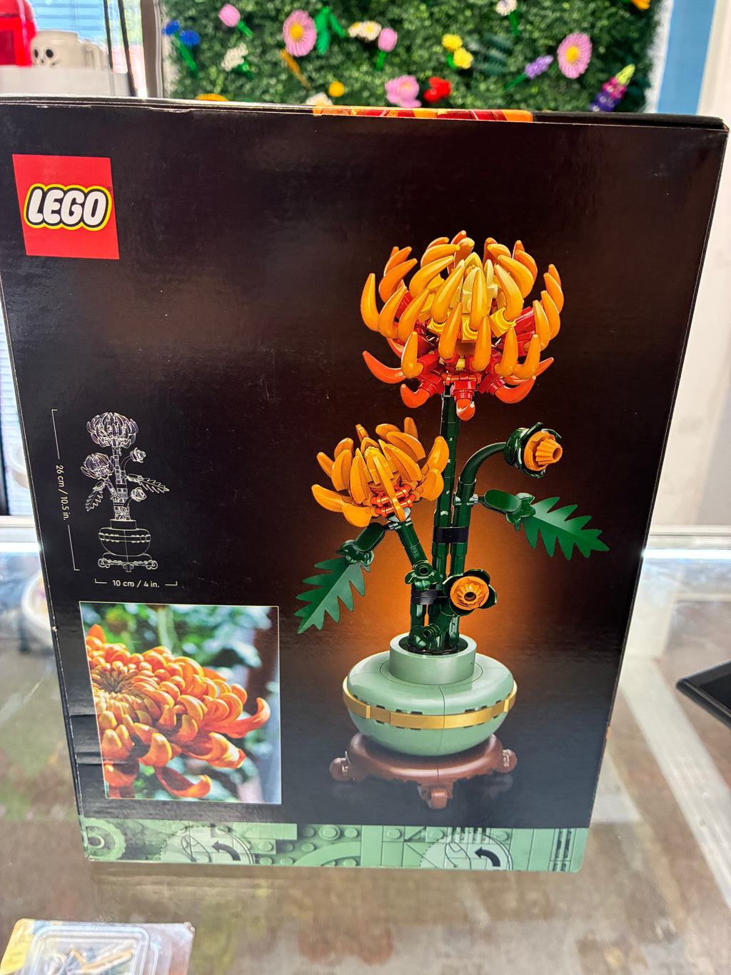 10368 Chrysanthemum - Sealed