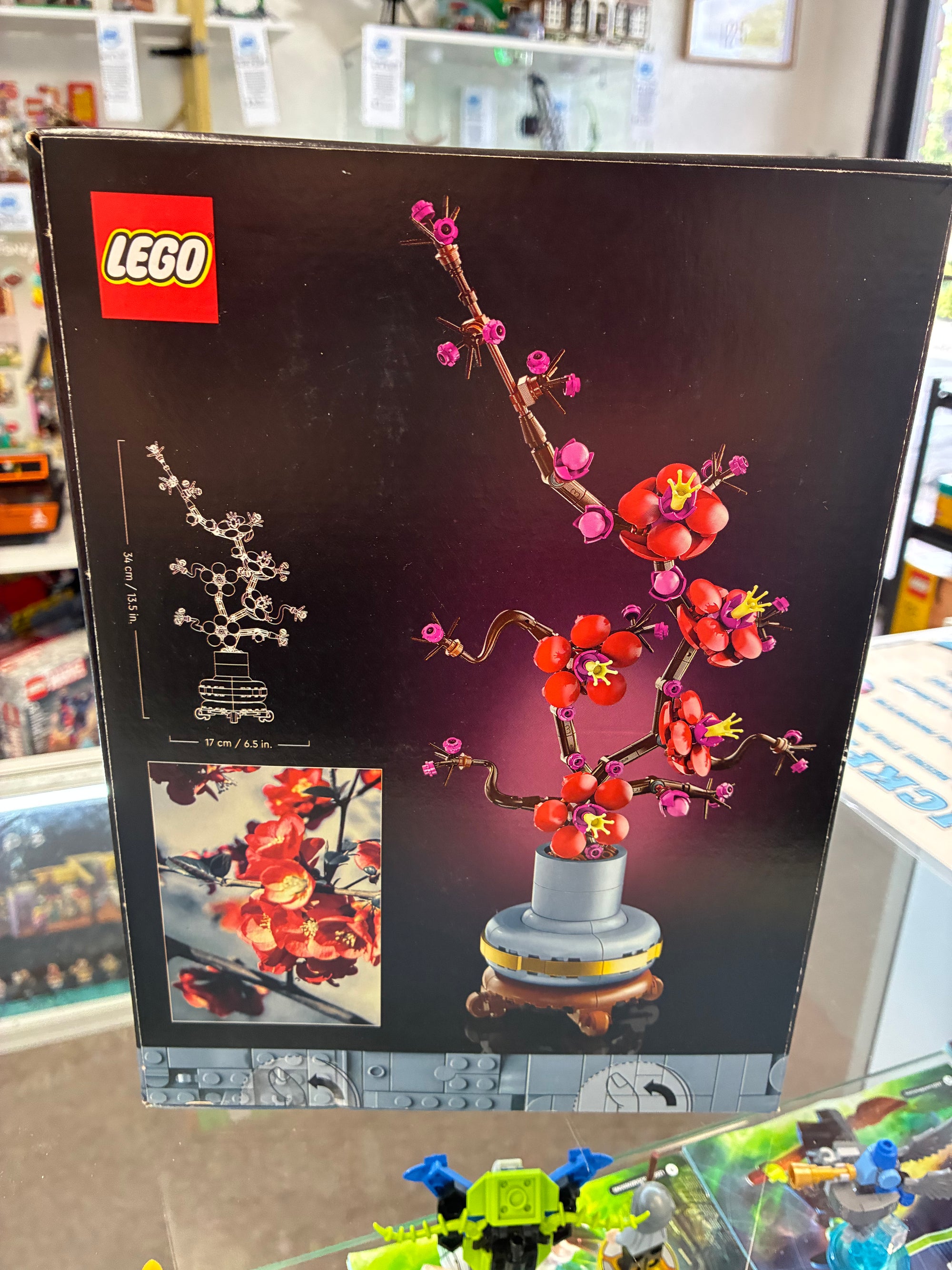 10369 Plum Blossom - Sealed