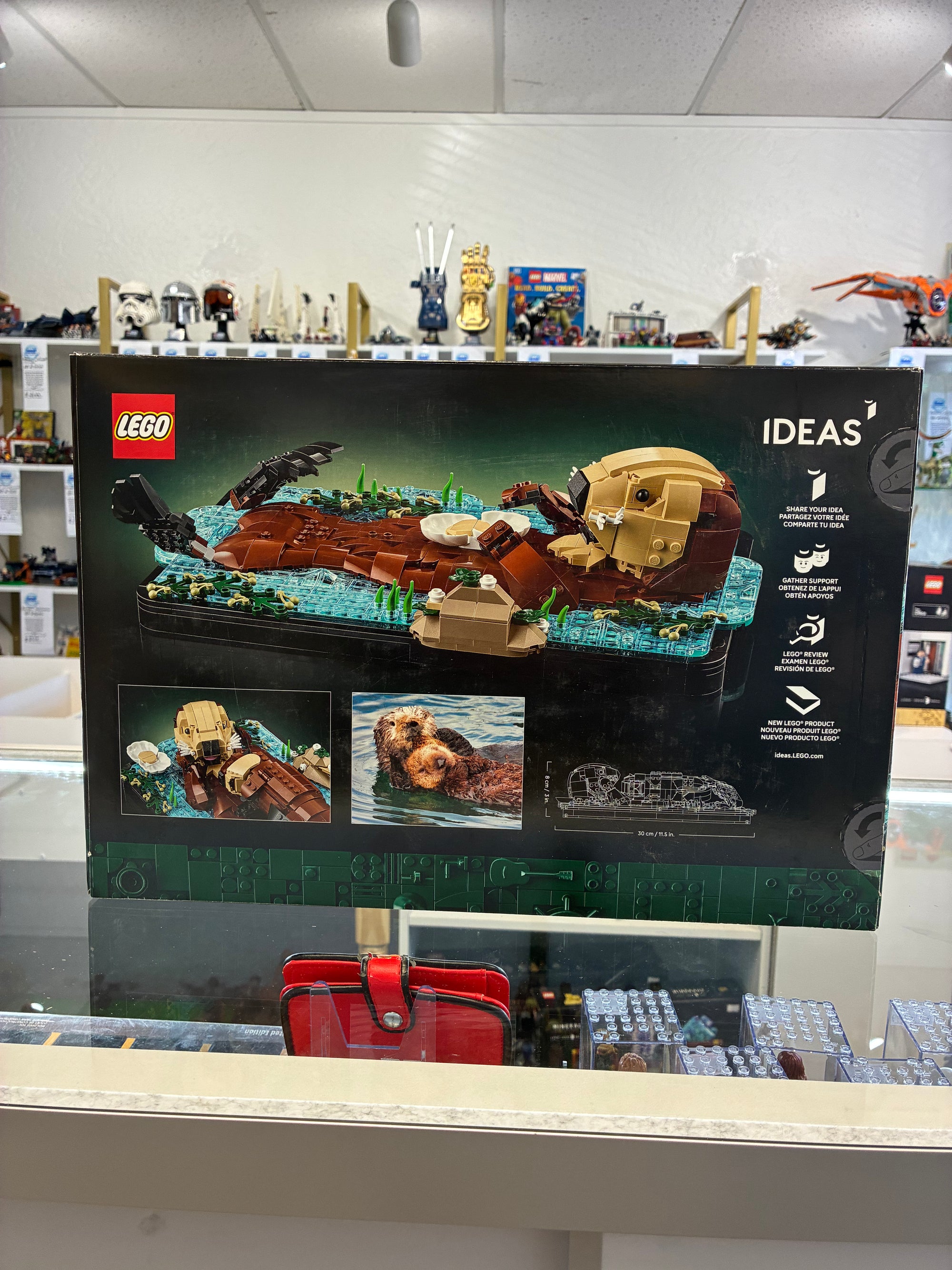 21366 Floating Sea Otters - Sealed