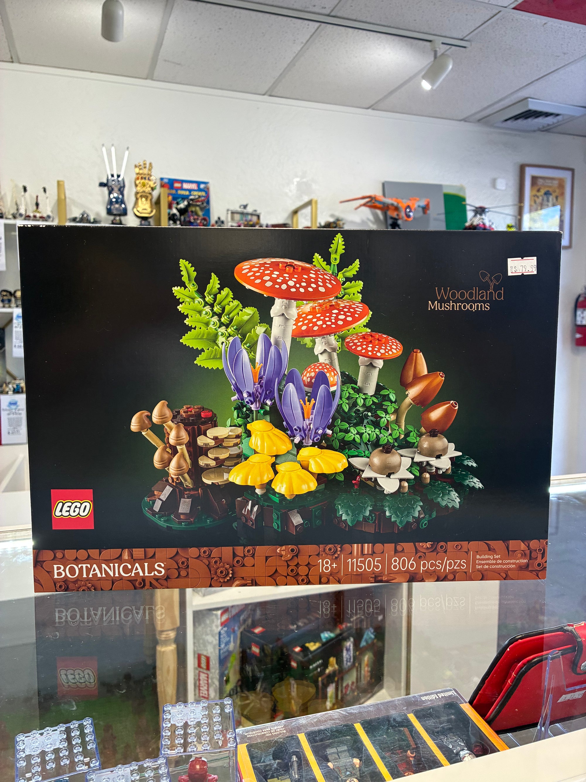 11505 Botanicals: Woodland Mushrooms - Sealed