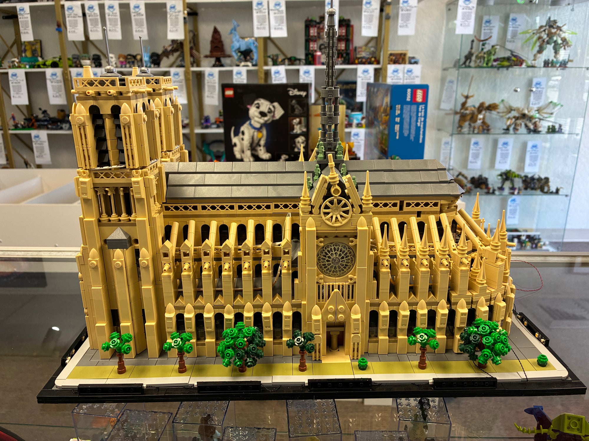 21061 Architecture Notre-Dame - Used