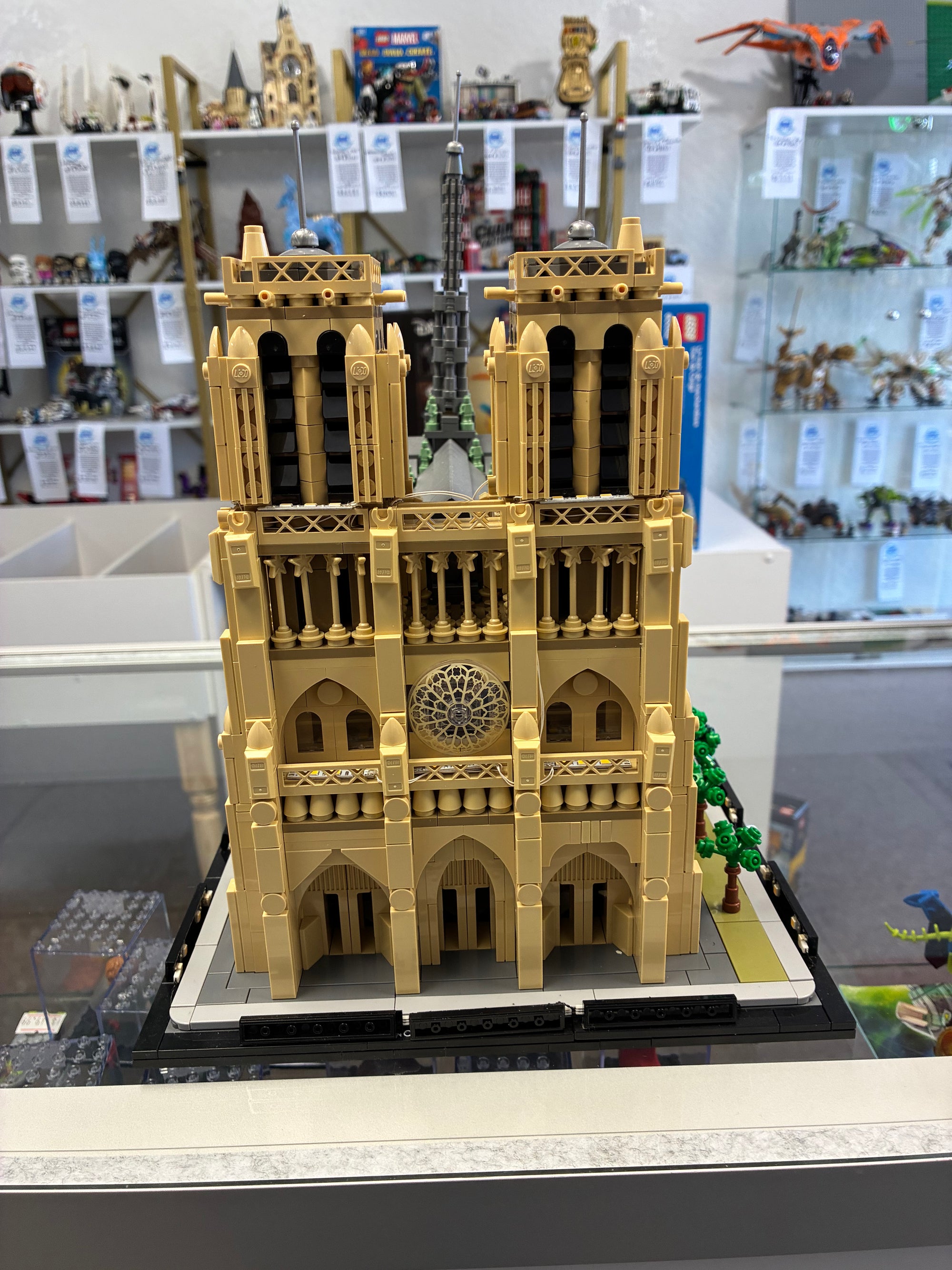 21061 Architecture Notre-Dame - Used