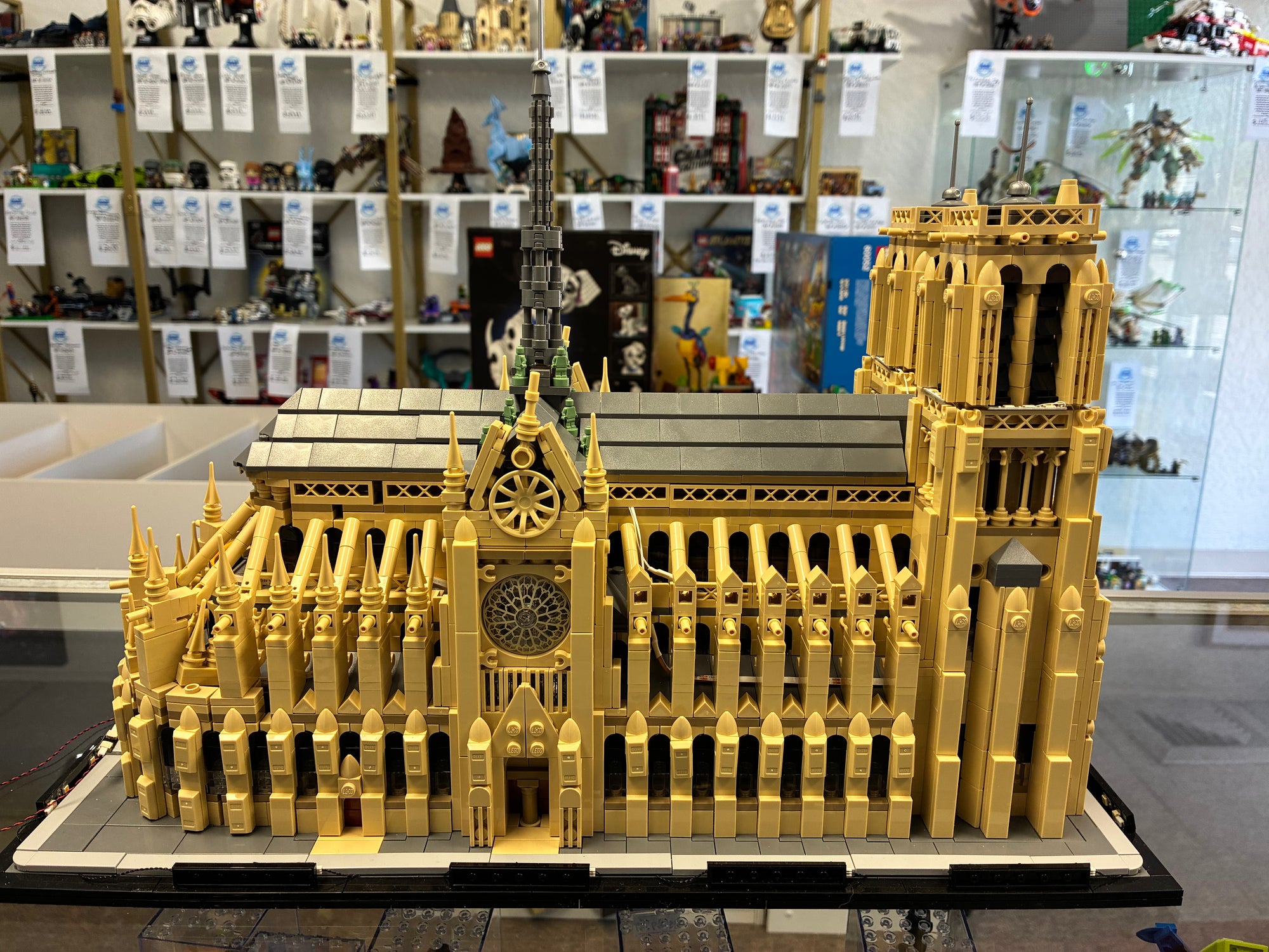 21061 Architecture Notre-Dame - Used