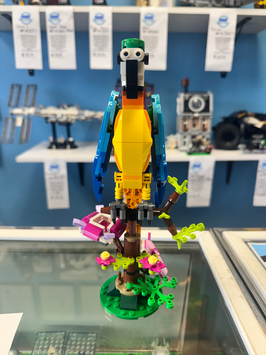 31136 Exotic Parrot - used