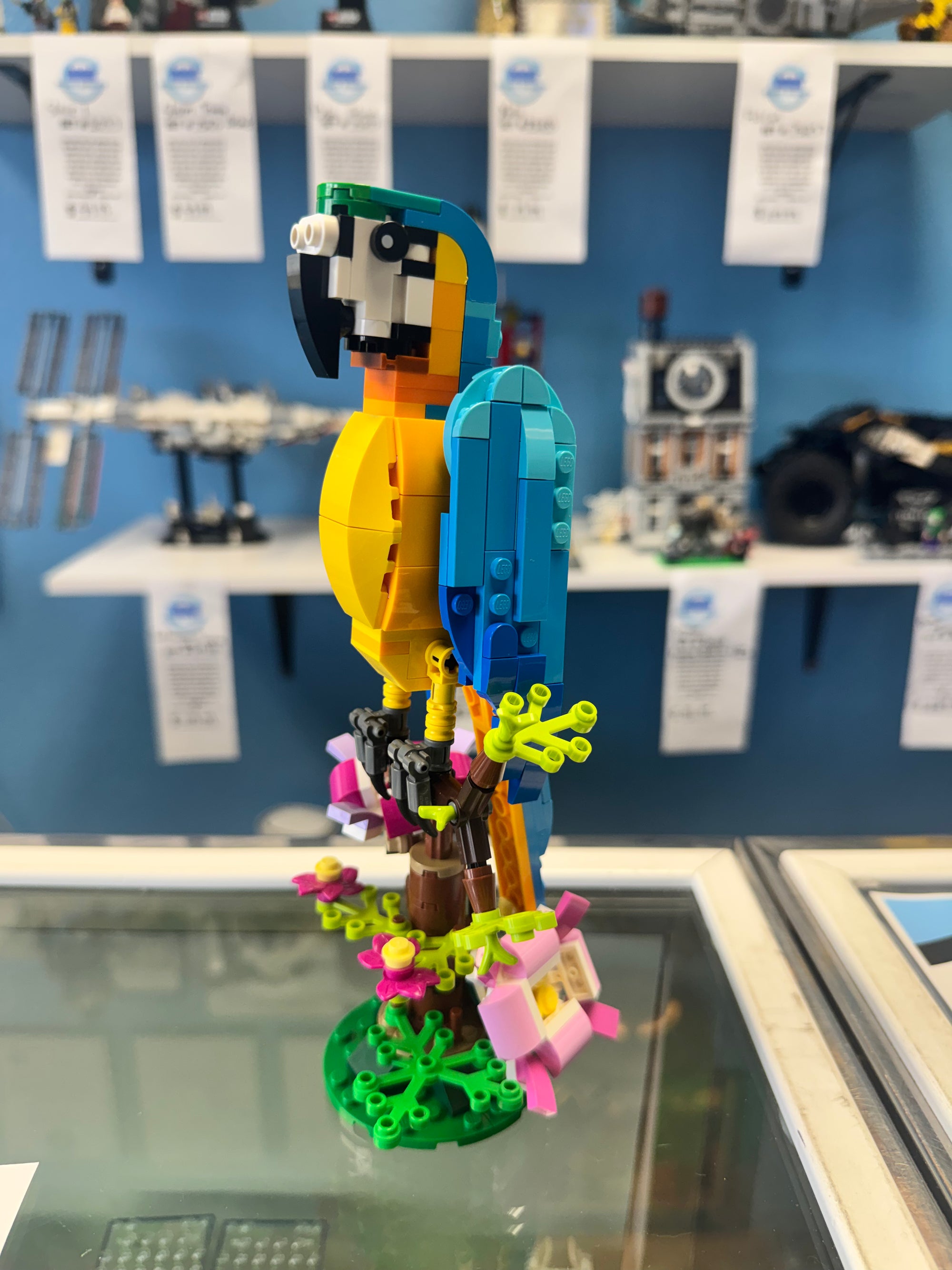 31136 Exotic Parrot - used