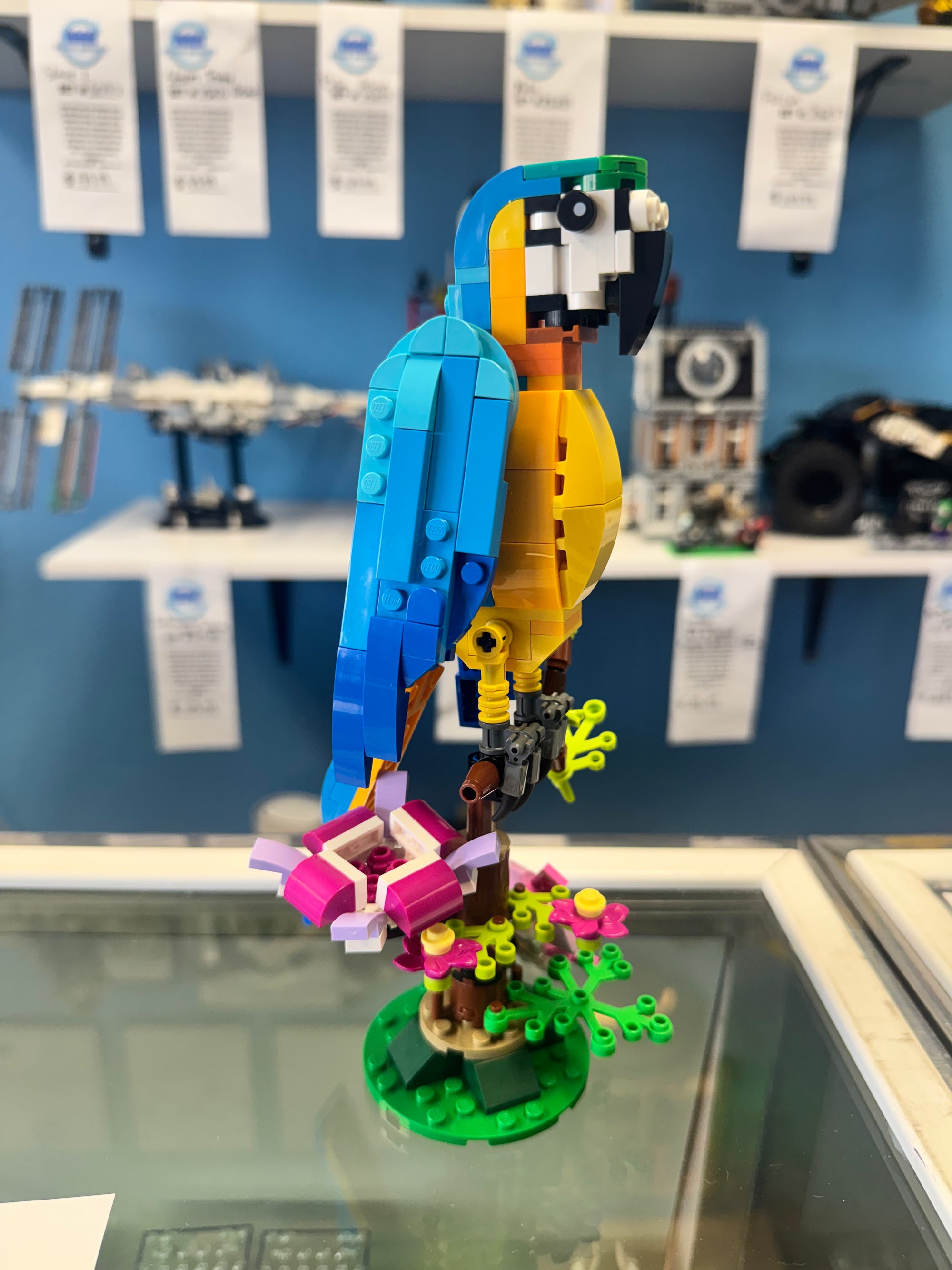 31136 Exotic Parrot - used