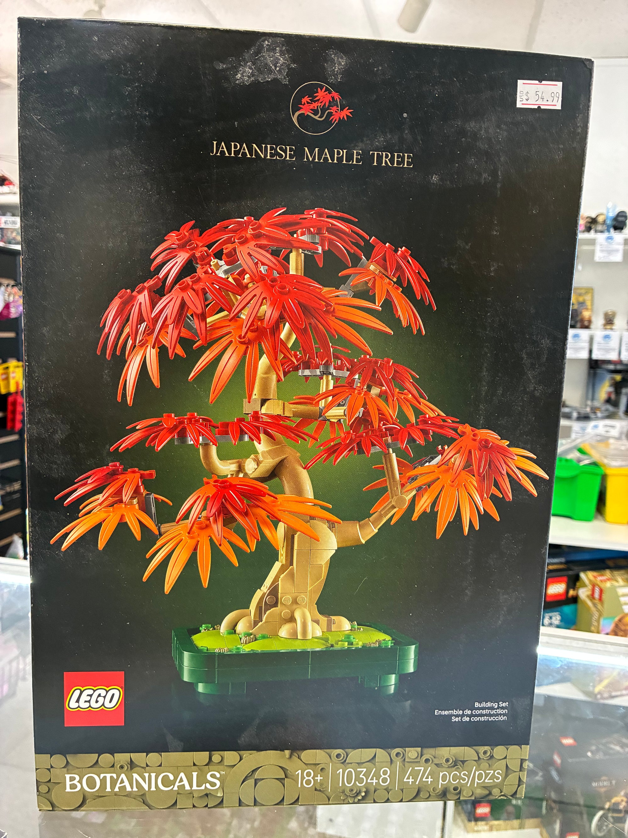 10348 BOTANICALS JAPANESE MAPLE TREE - Sealed