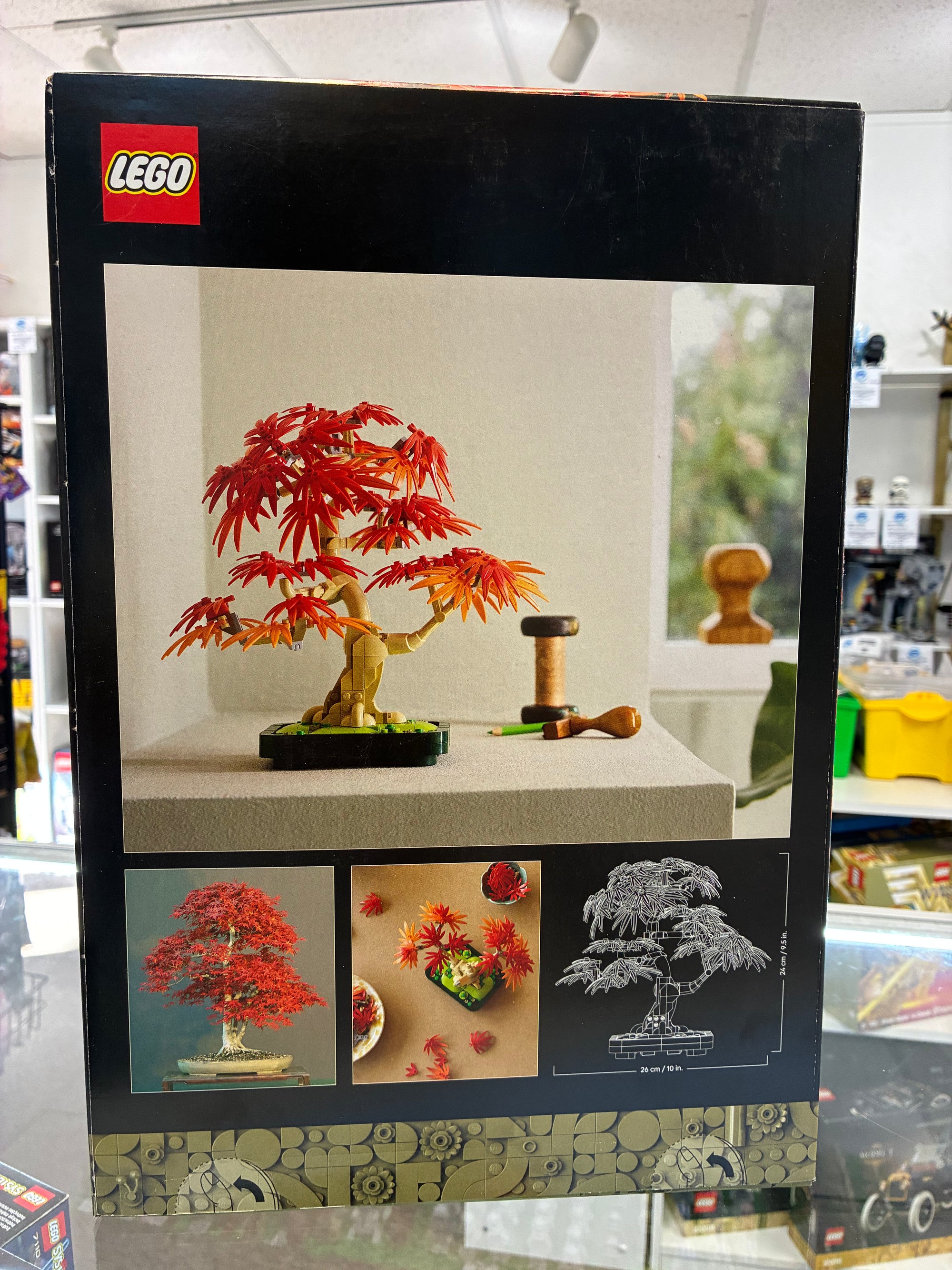 10348 BOTANICALS JAPANESE MAPLE TREE - Sealed