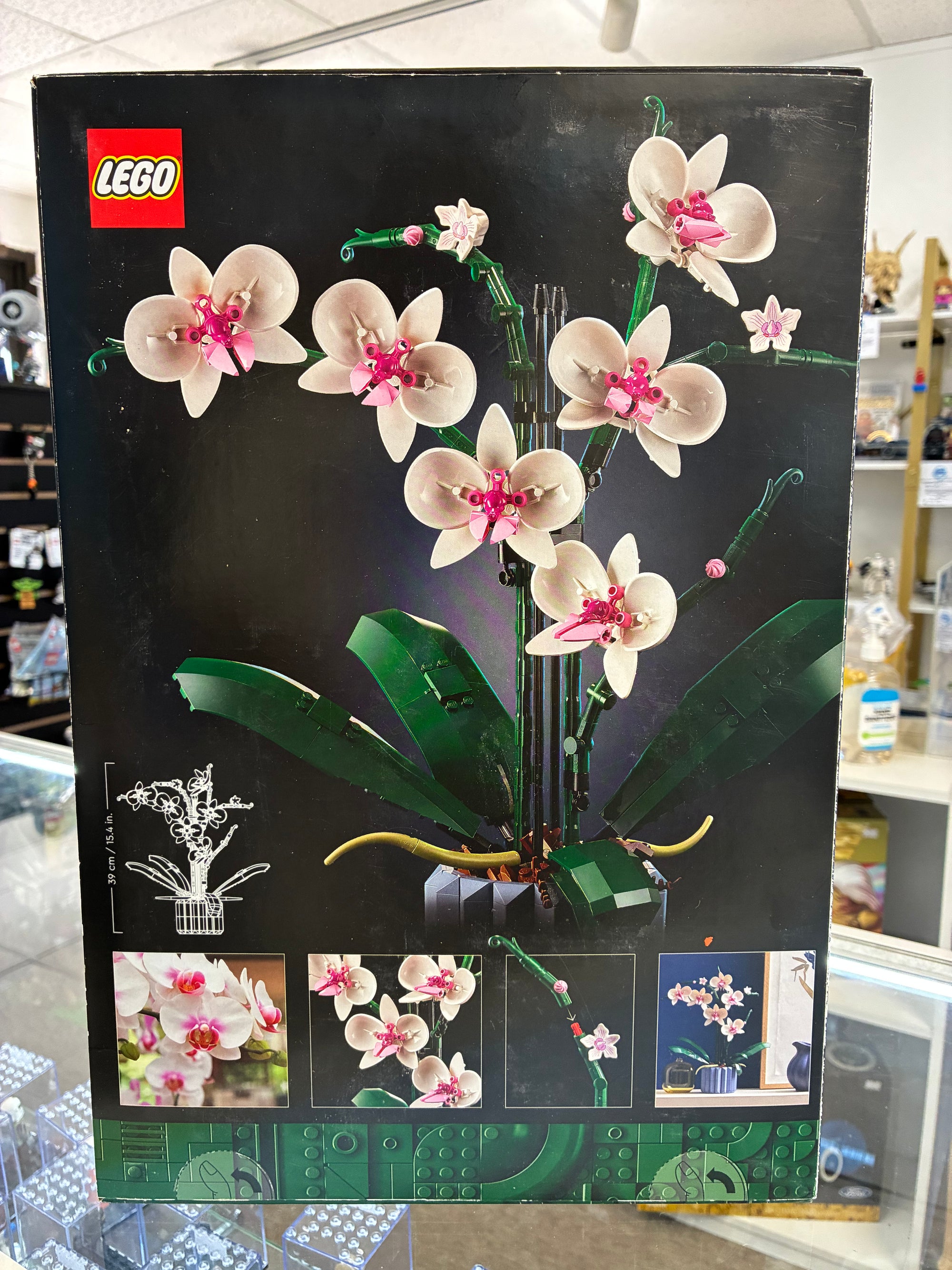 10311 Botanical Orchid - Sealed