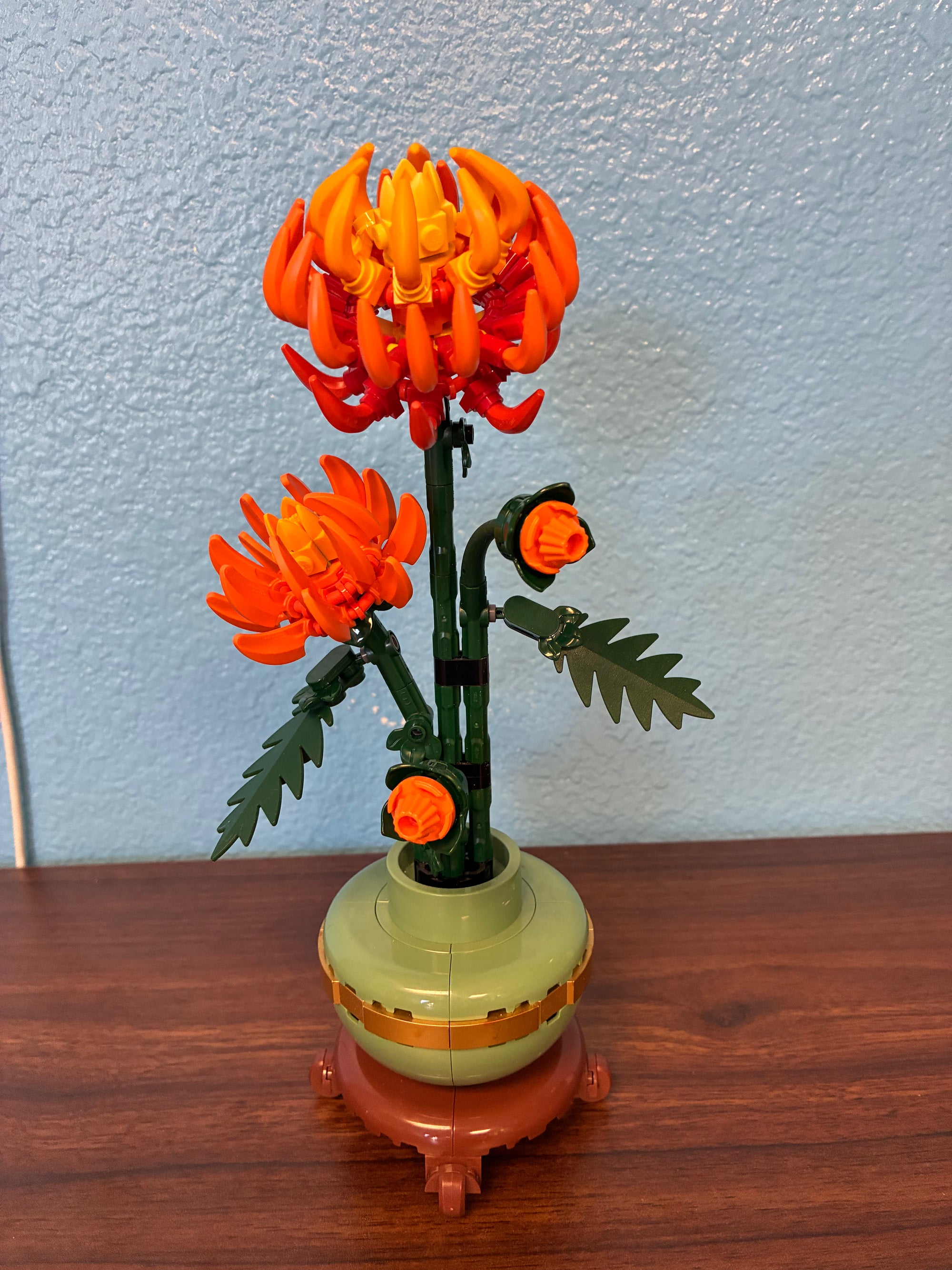 10368 Chrysanthemum - Used