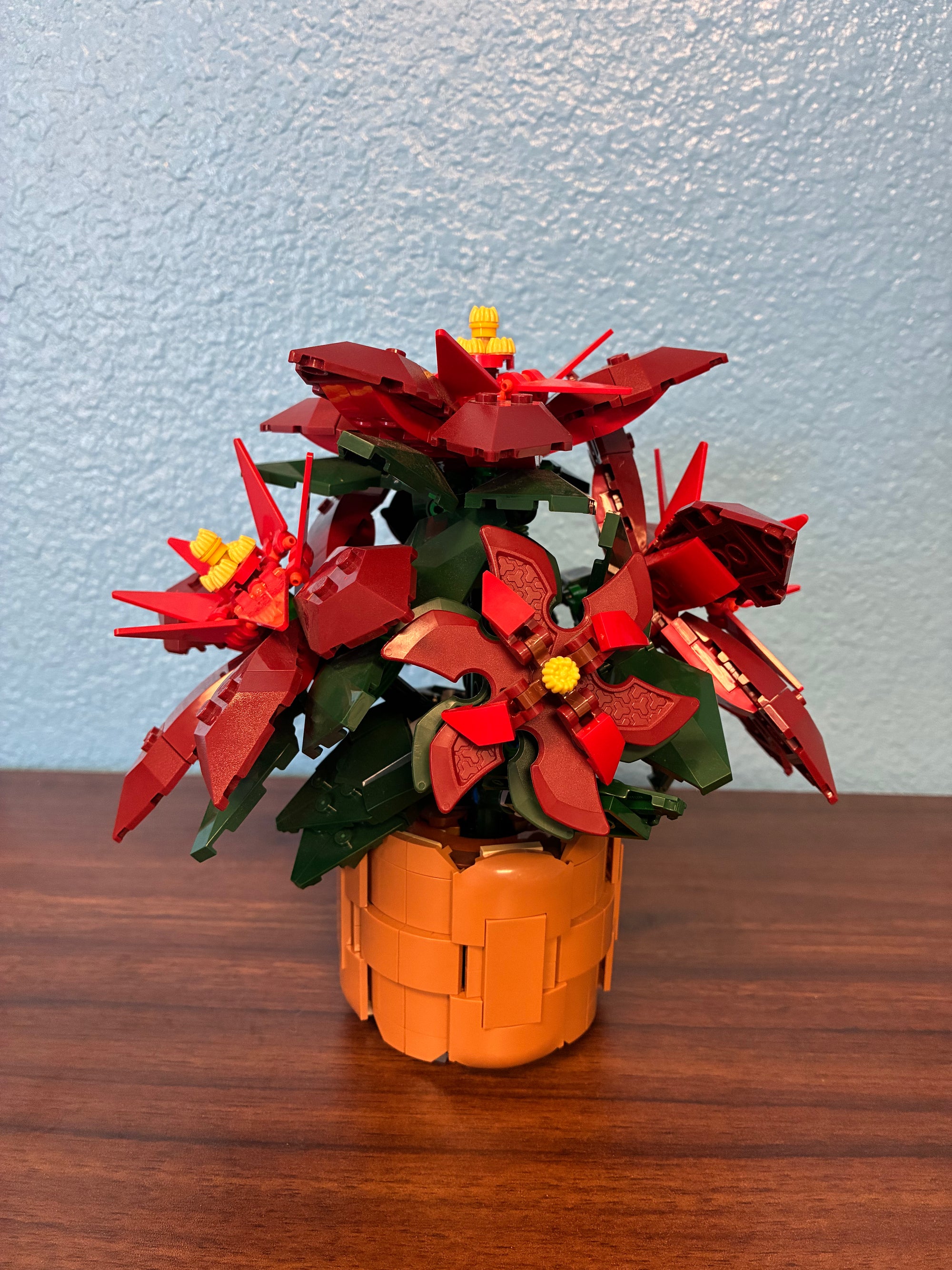 10370 Poinsettia - Used