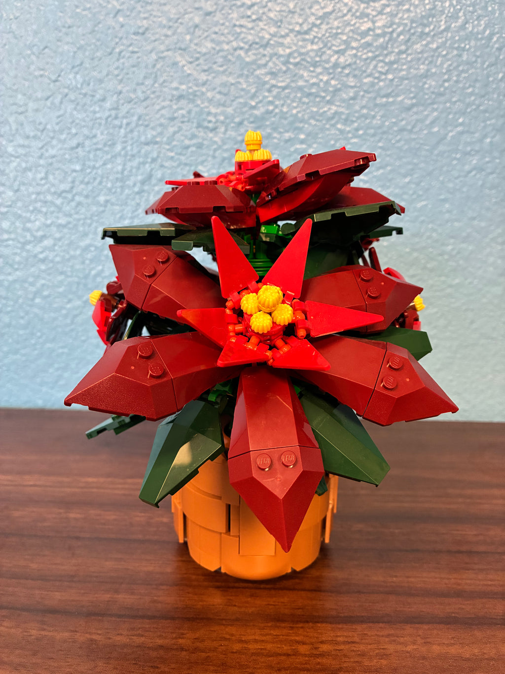10370 Poinsettia - Used