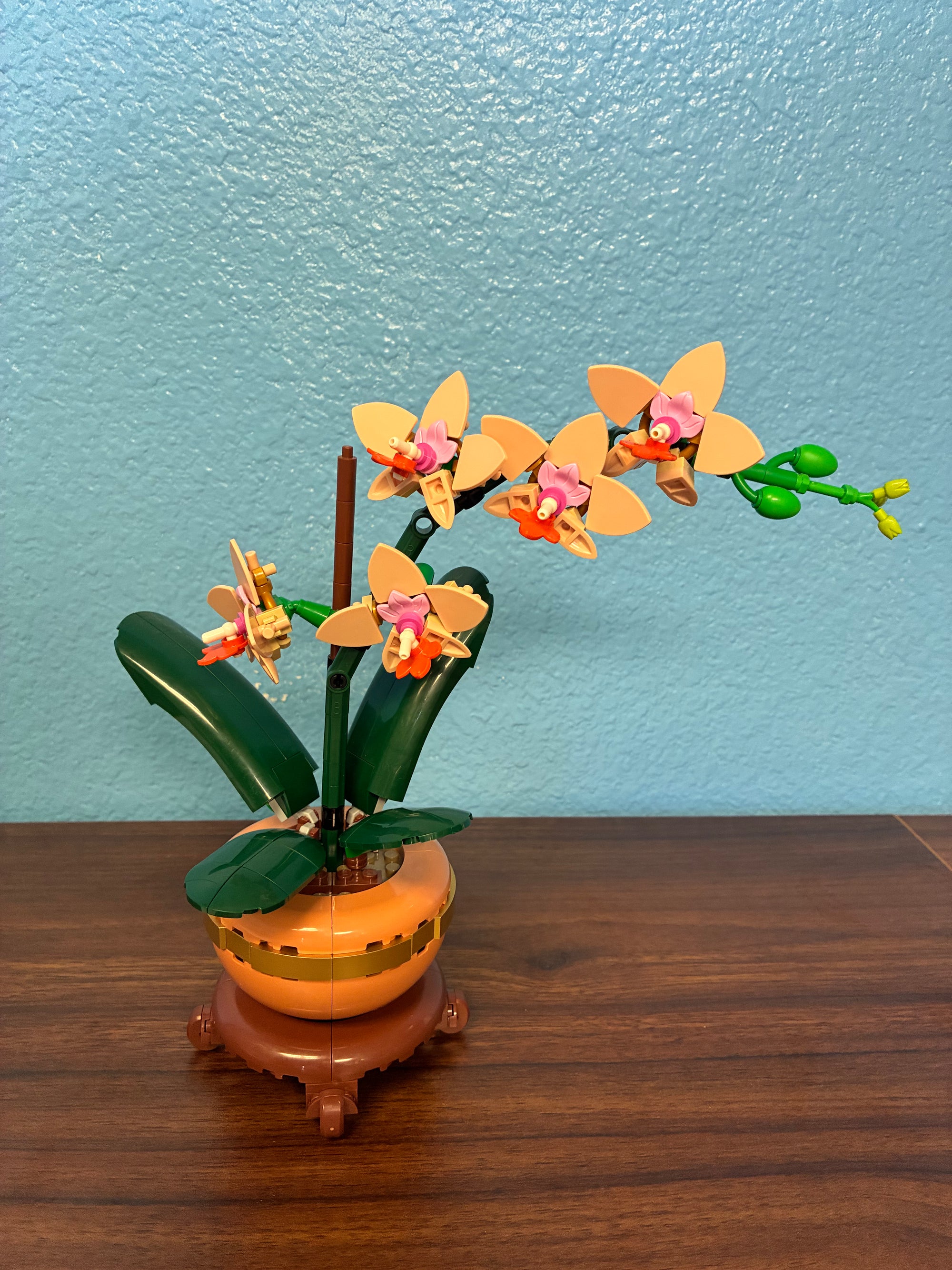 1343 Mini Orchids - Used