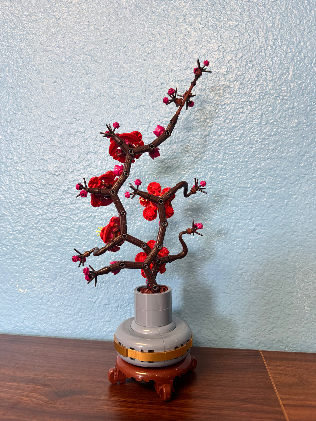 10369 Plum Blossom - Used