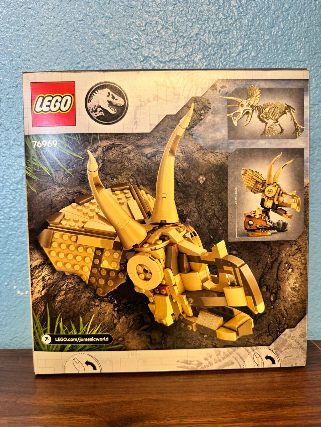 76969 Dinosaur Fossils Triceratops Skull - Sealed